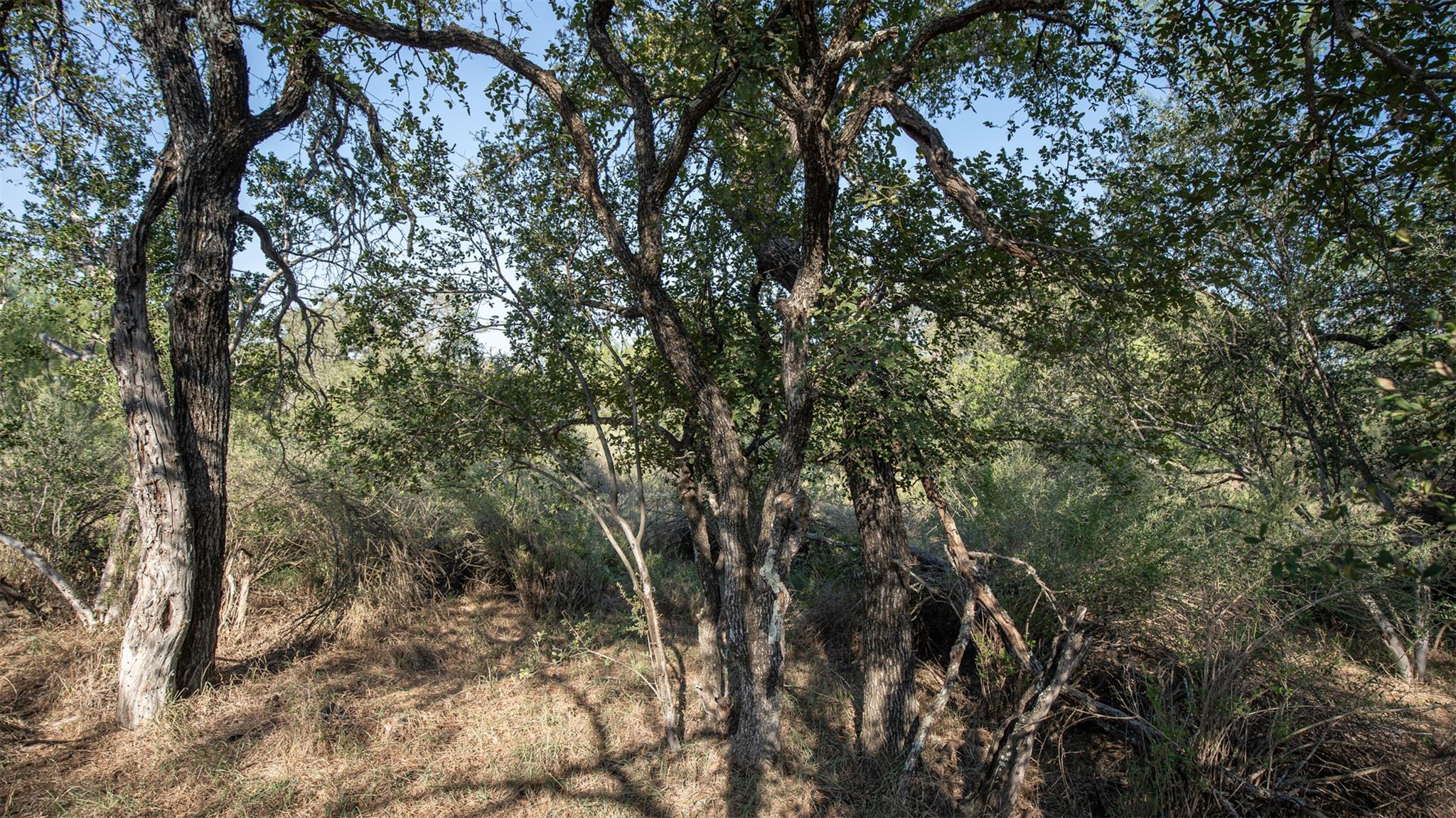 Lot 515 Highcrest Dr Property Photo 6