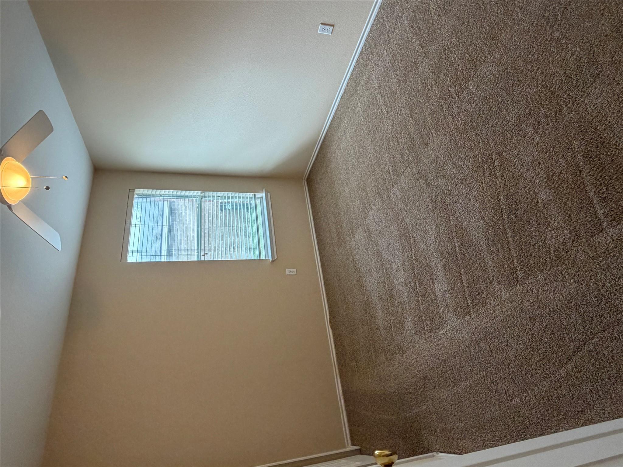 208 Carol Ave Property Photo 7