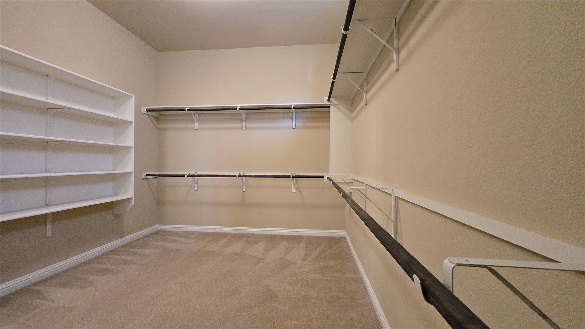 11804 Quintana Cv Property Photo 16