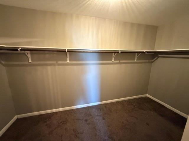 220 Adriana Ln Property Photo 15