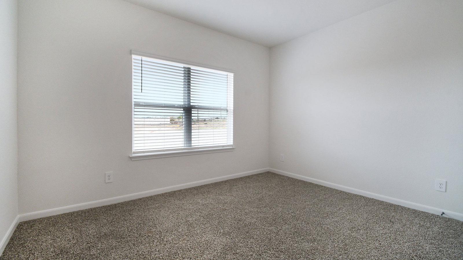 14904 Frog Pond Cv Property Photo 12