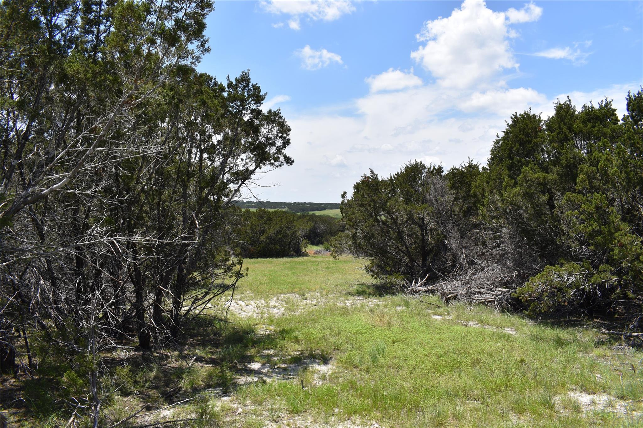 122 Reserve Way Property Photo 2