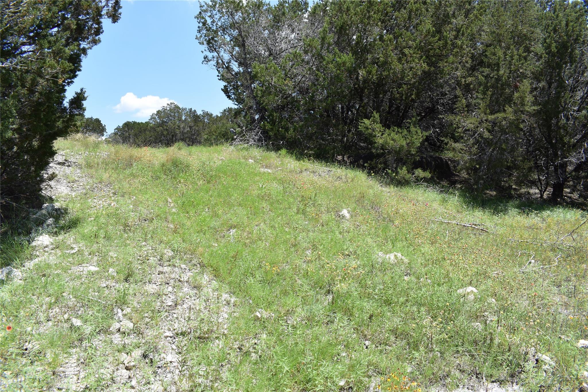 122 Reserve Way Property Photo 10