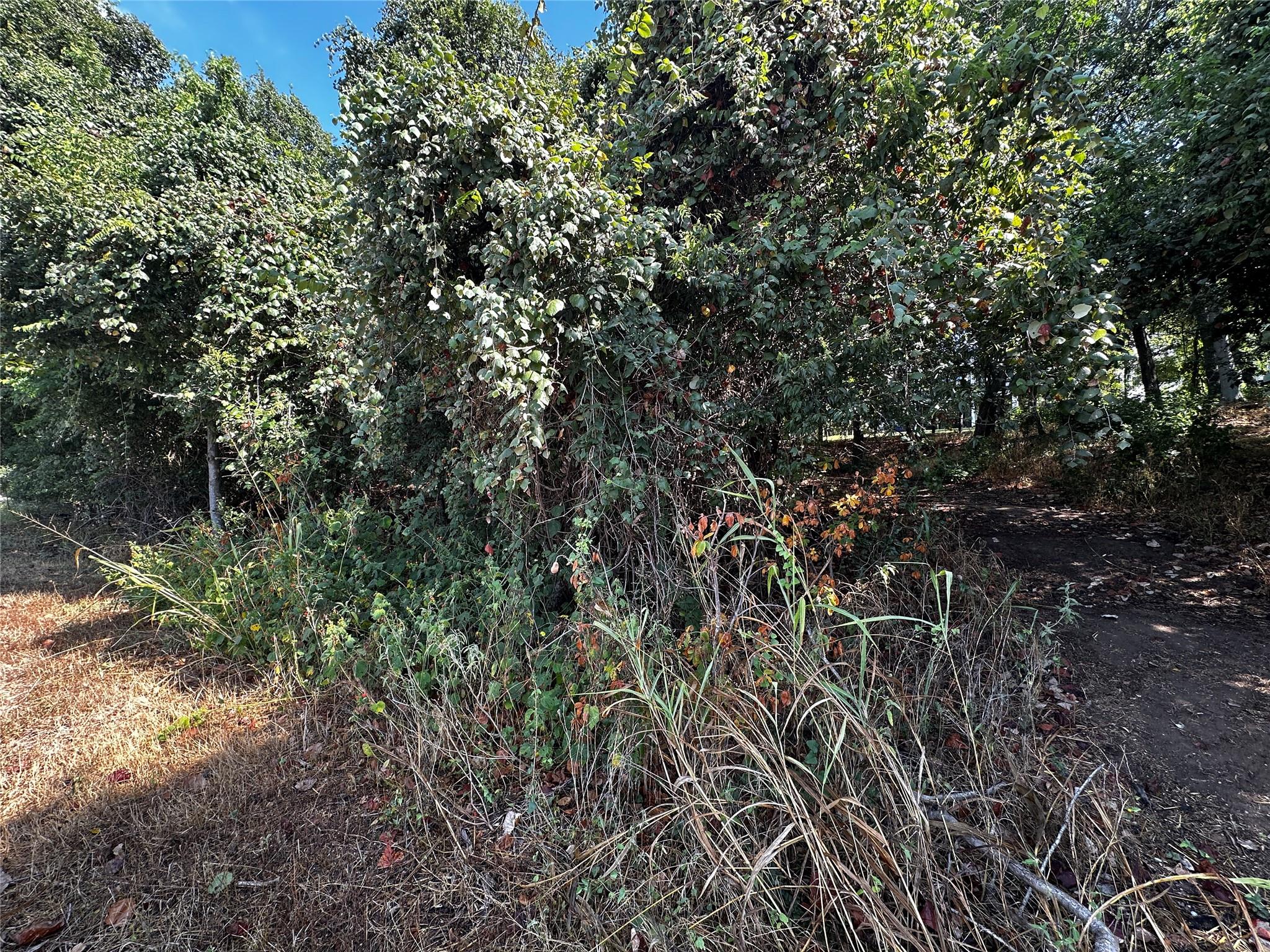 392 Riverside Dr Property Photo 5