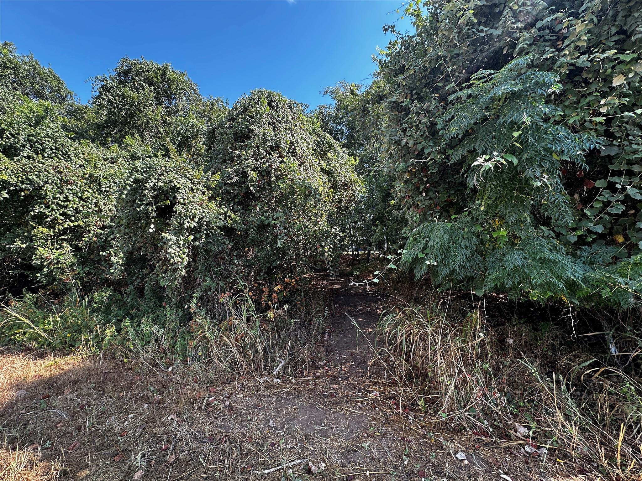 392 Riverside Dr Property Photo 6