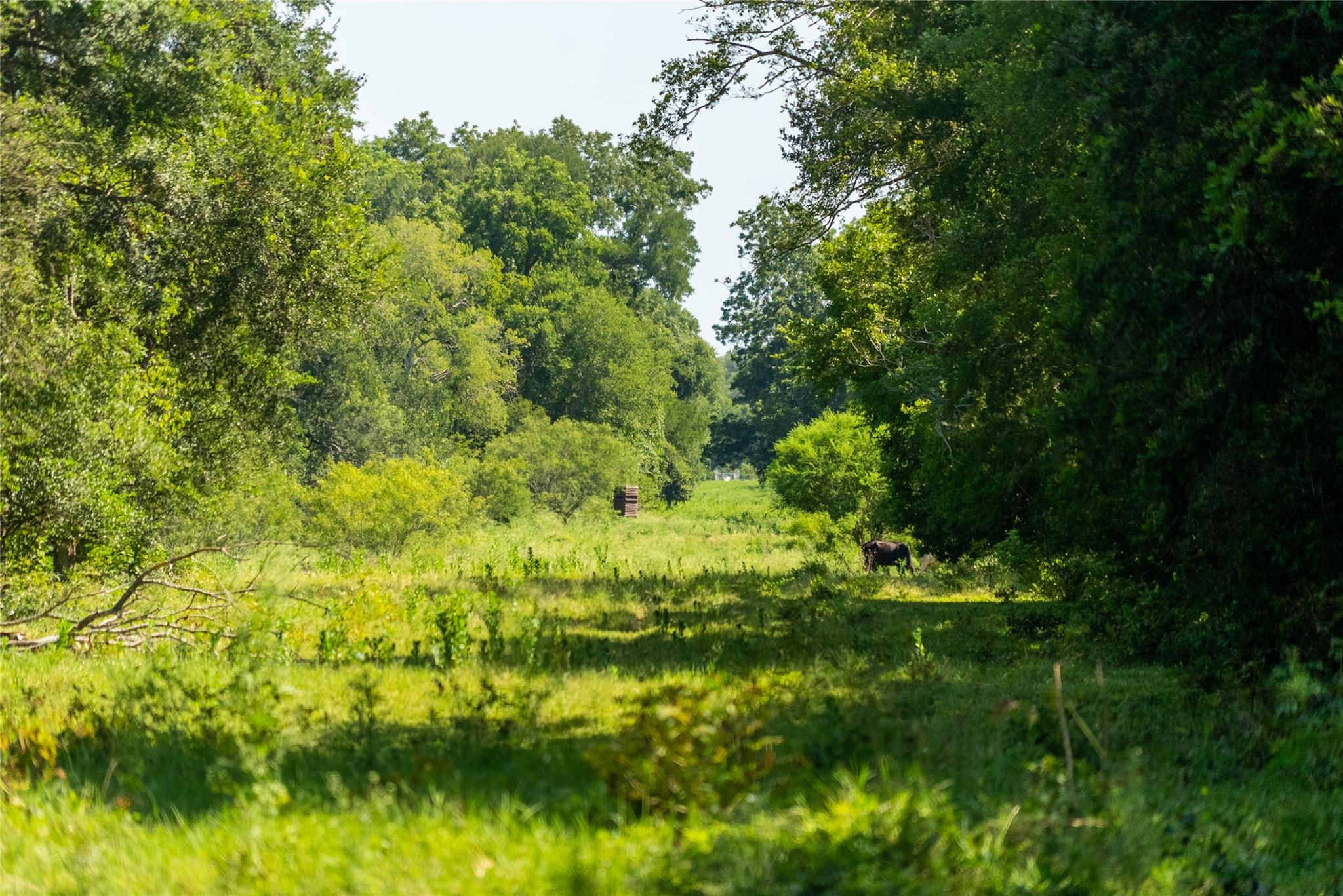 Tbd 364 Acres County Road 343 None Property Photo 11