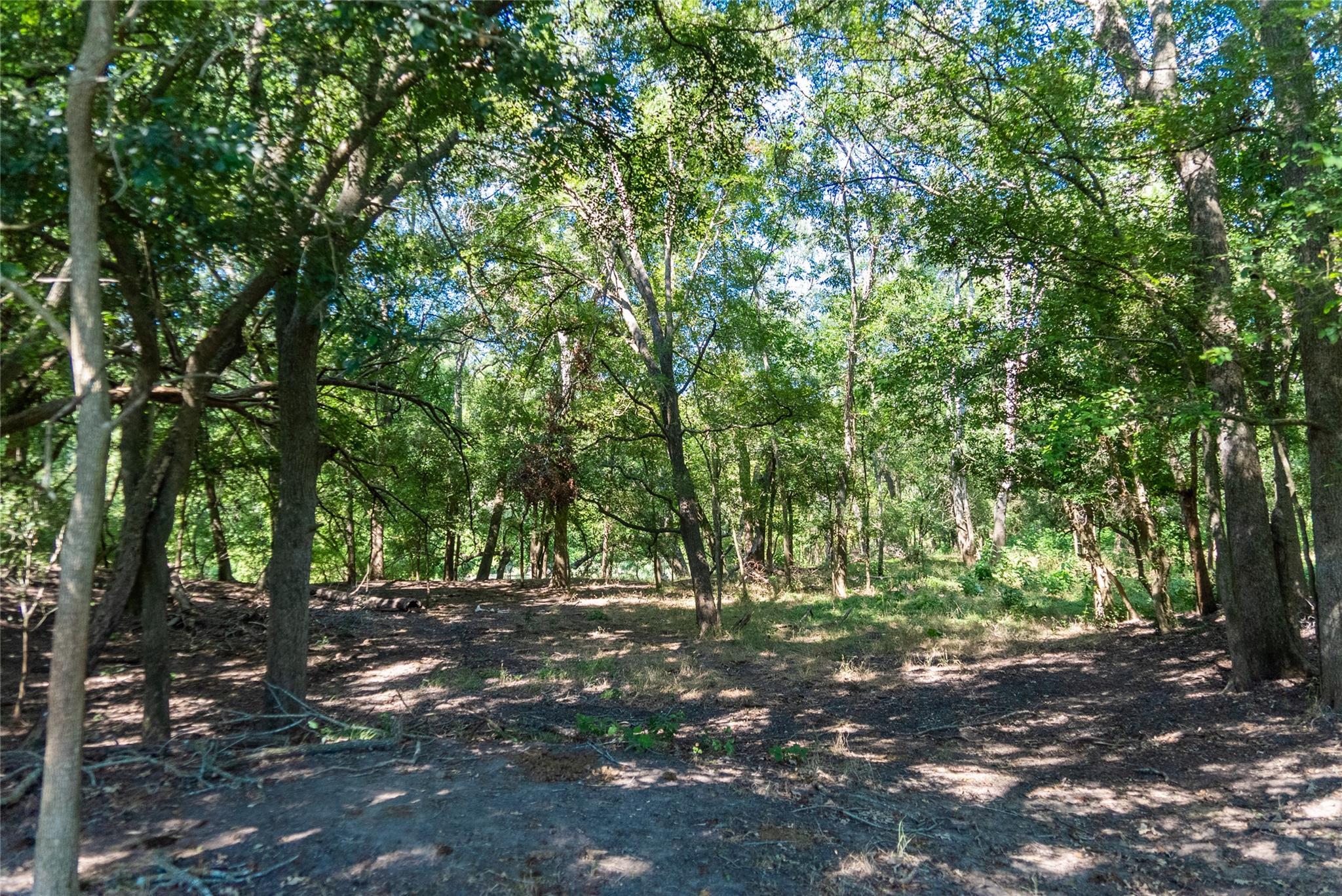 Tbd 364 Acres County Road 343 None Property Photo 12
