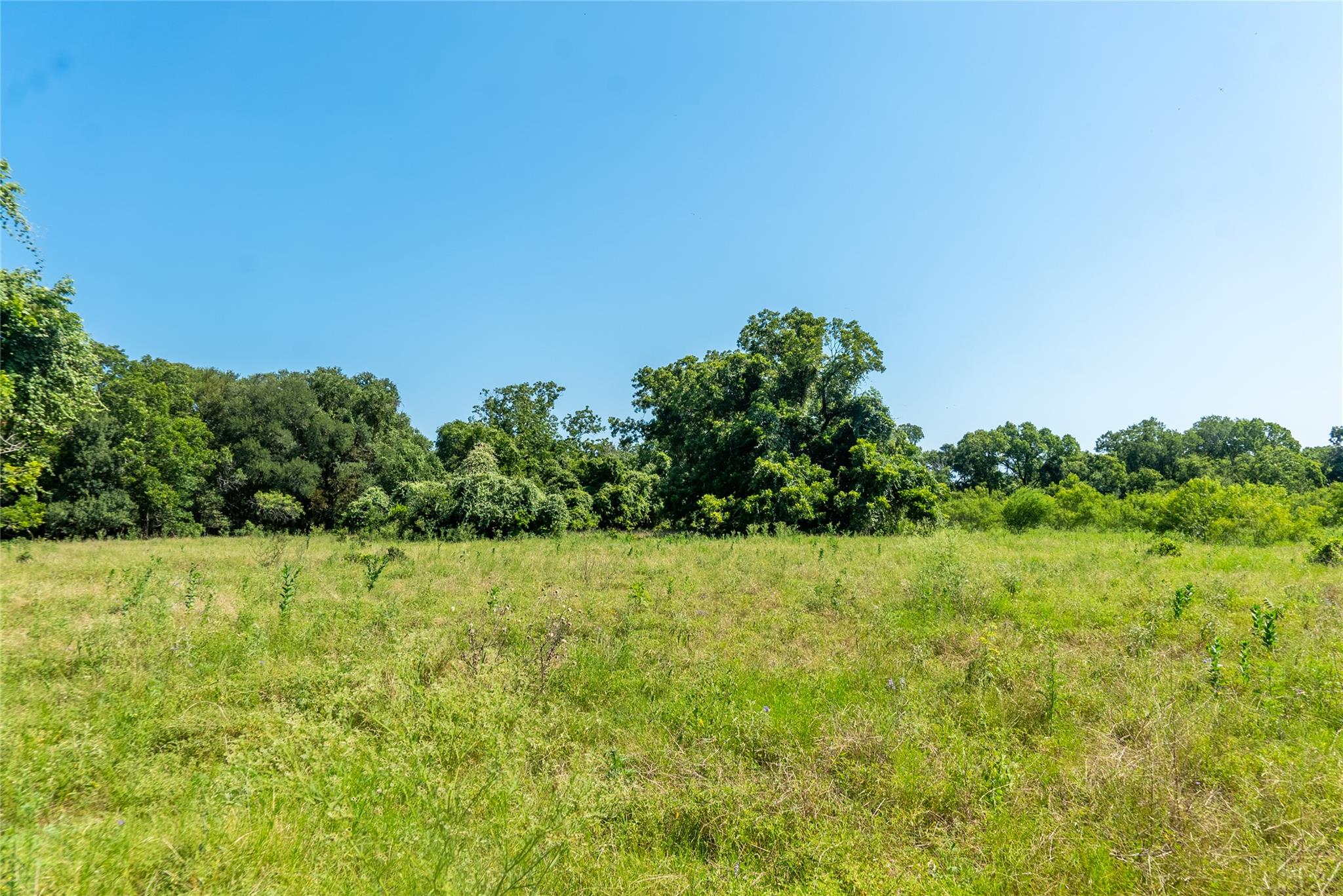 Tbd 364 Acres County Road 343 None Property Photo 16