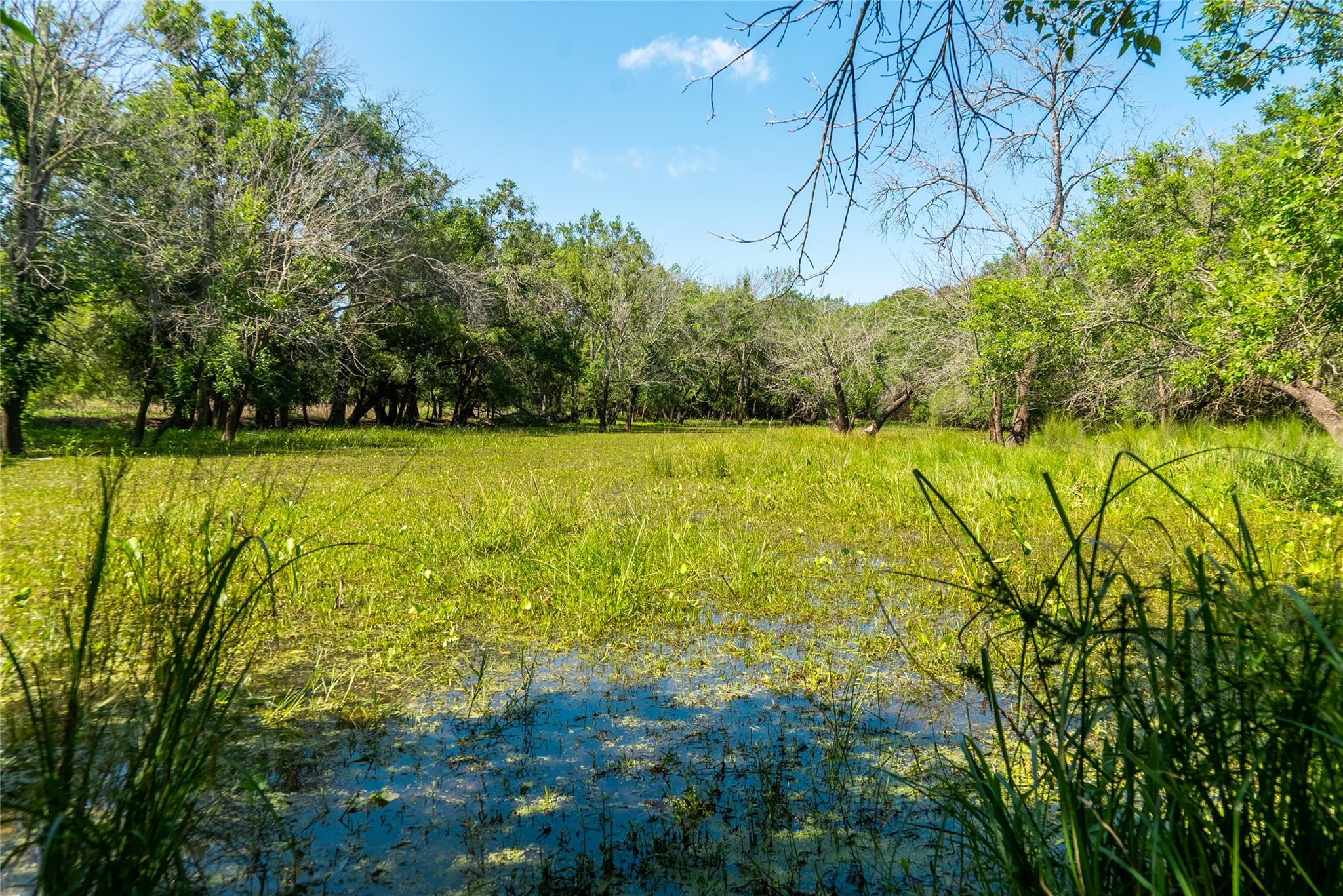 Tbd 364 Acres County Road 343 None Property Photo 24
