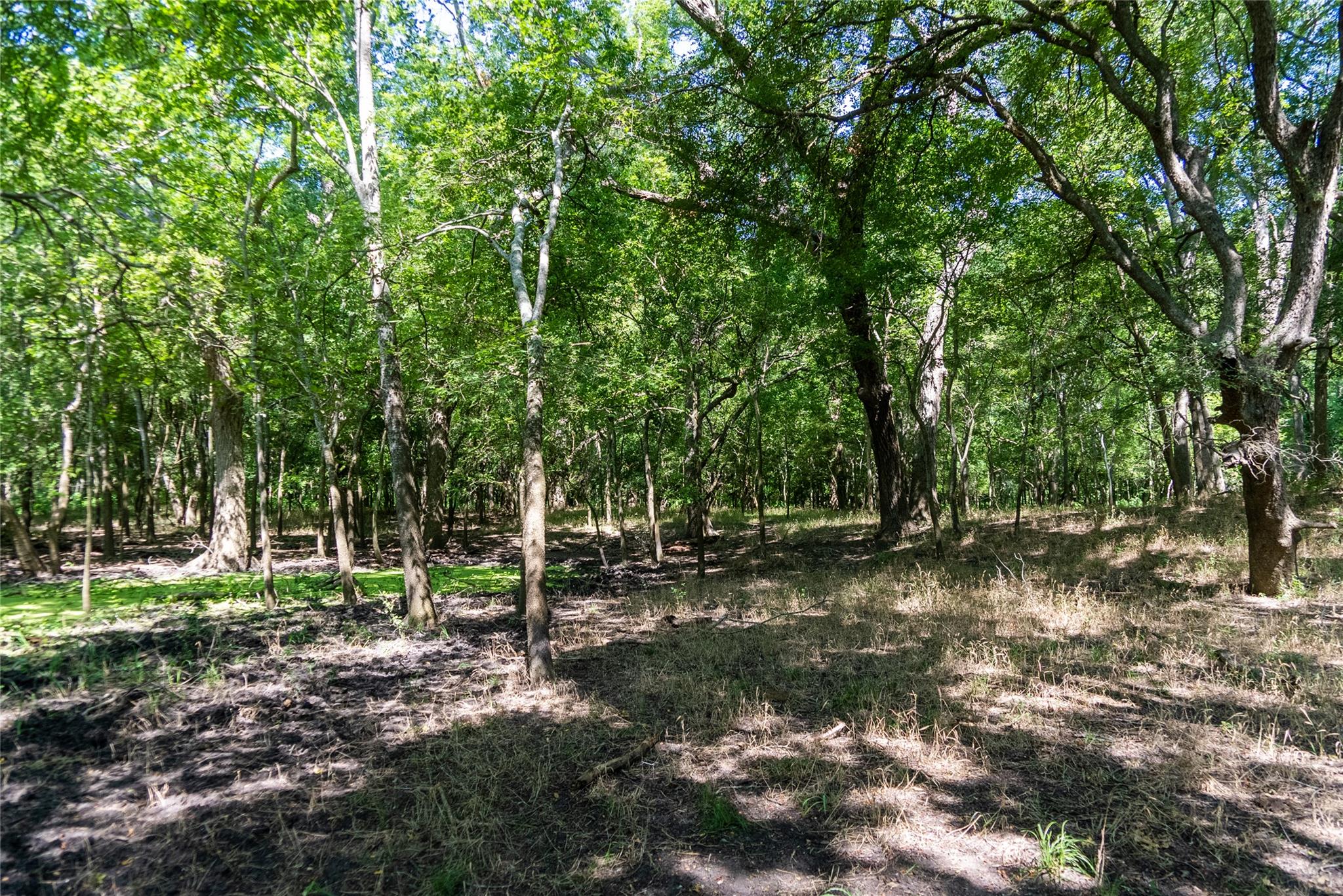 Tbd 364 Acres County Road 343 None Property Photo 29