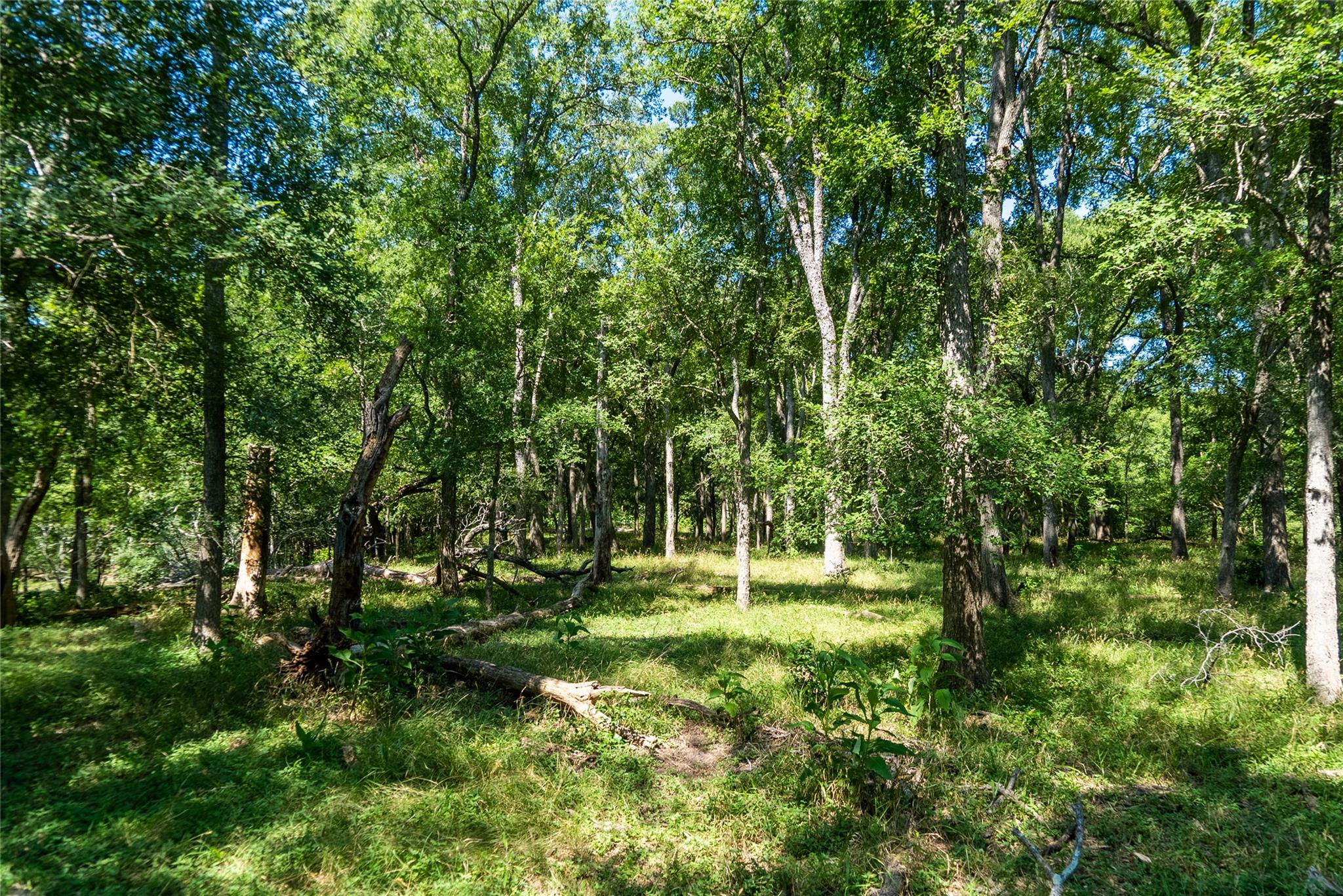 Tbd 364 Acres County Road 343 None Property Photo 30