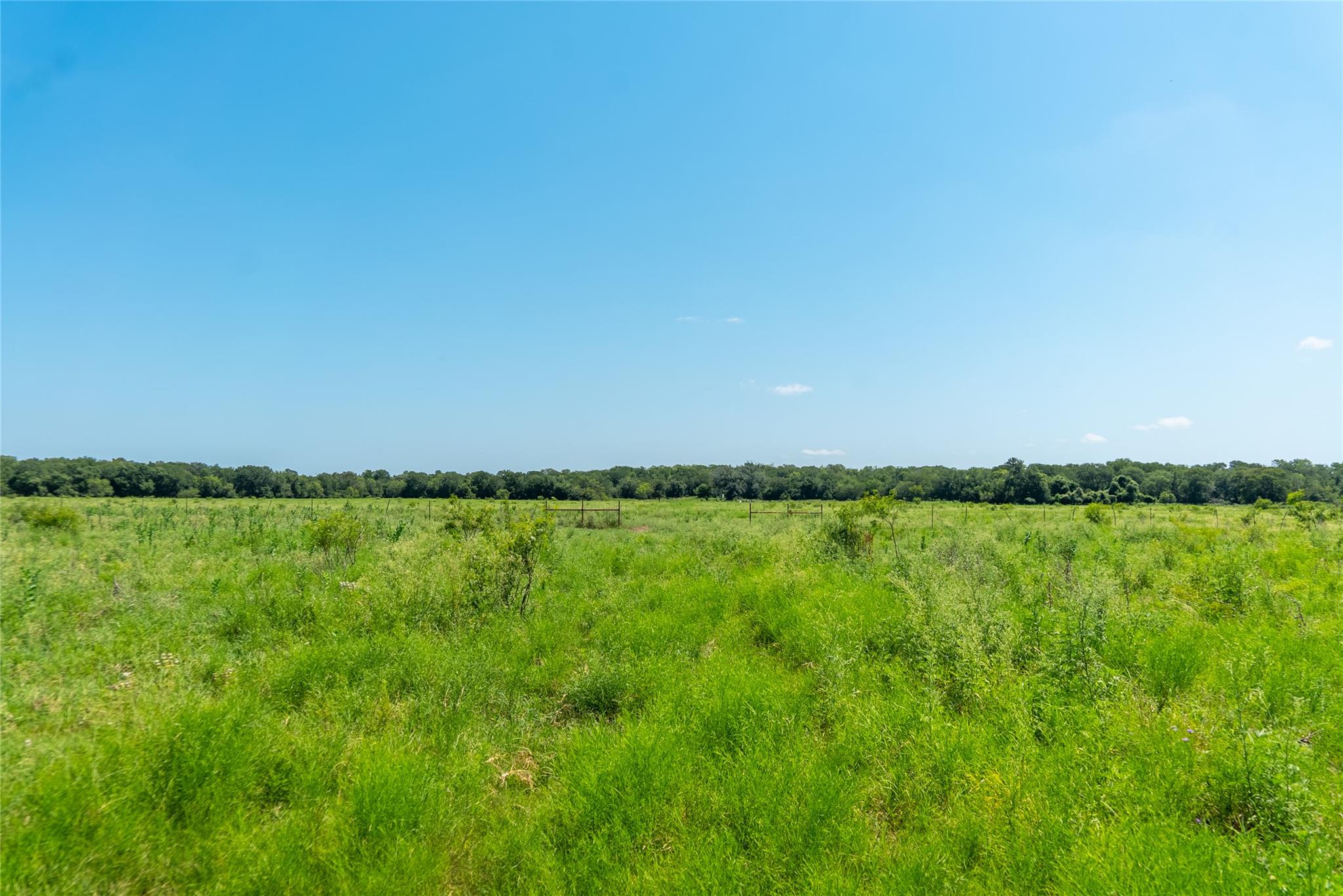 Tbd 364 Acres County Road 343 None Property Photo 31