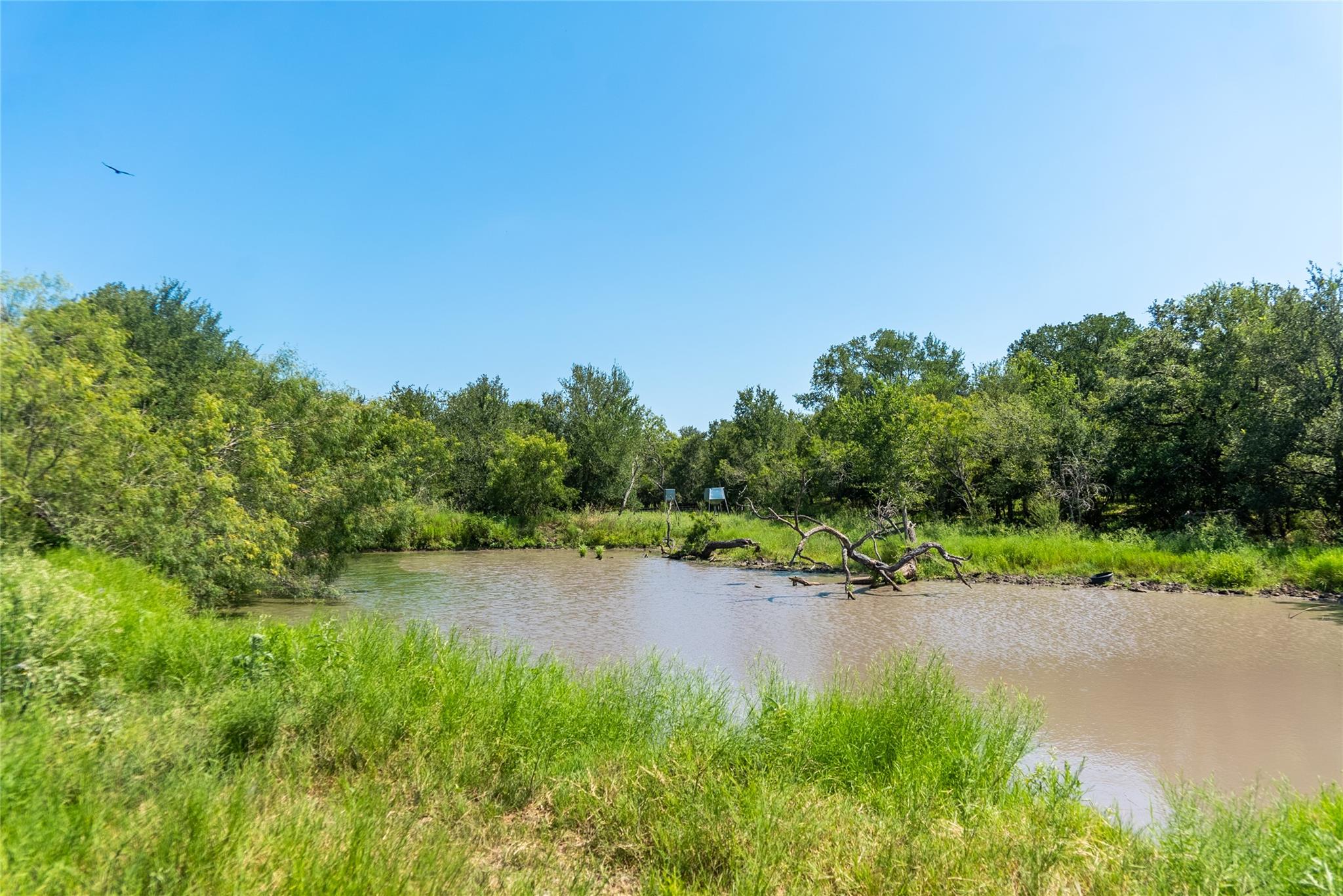 Tbd 364 Acres County Road 343 None Property Photo 32