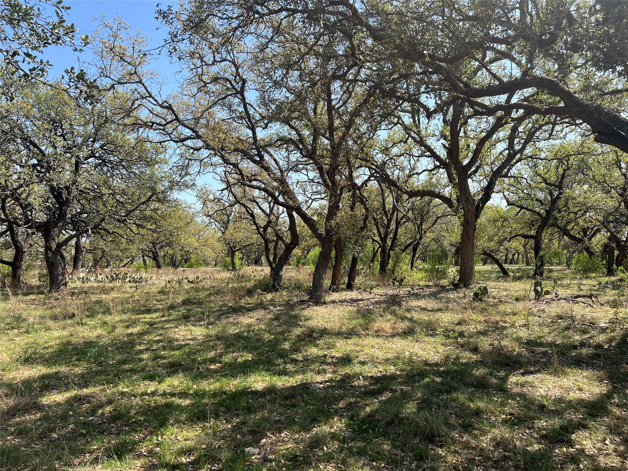 Lot 43 Waterbuck Way Property Photo