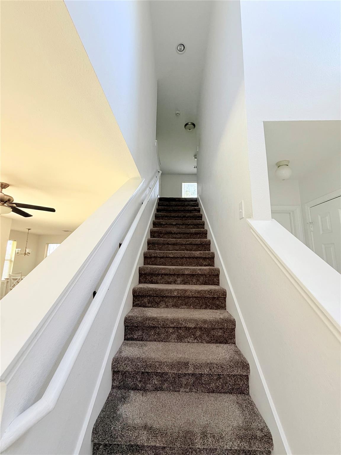 13609 Letti Ln Property Photo 19
