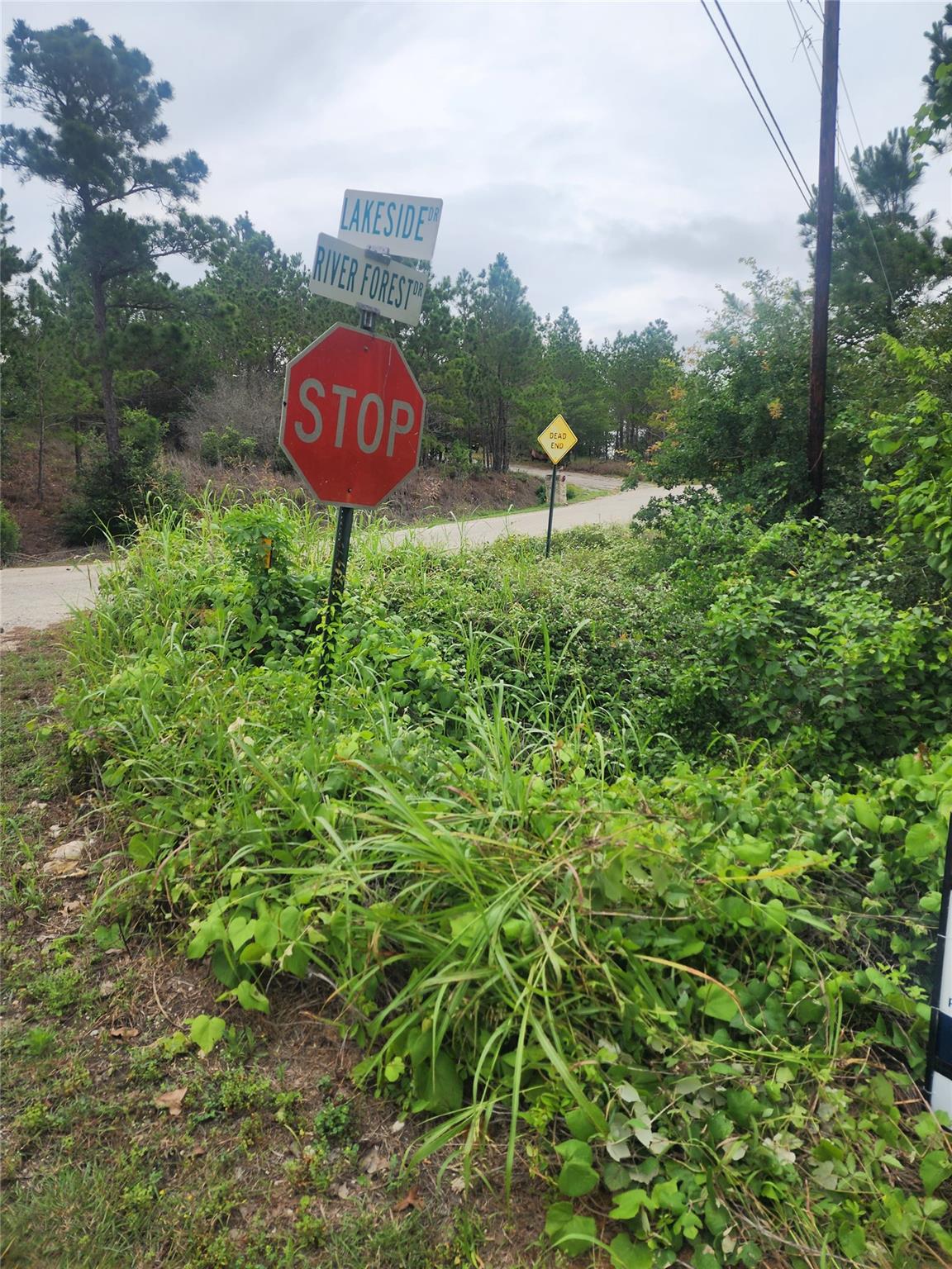 Lot 70 Lakeside Dr Property Photo 1