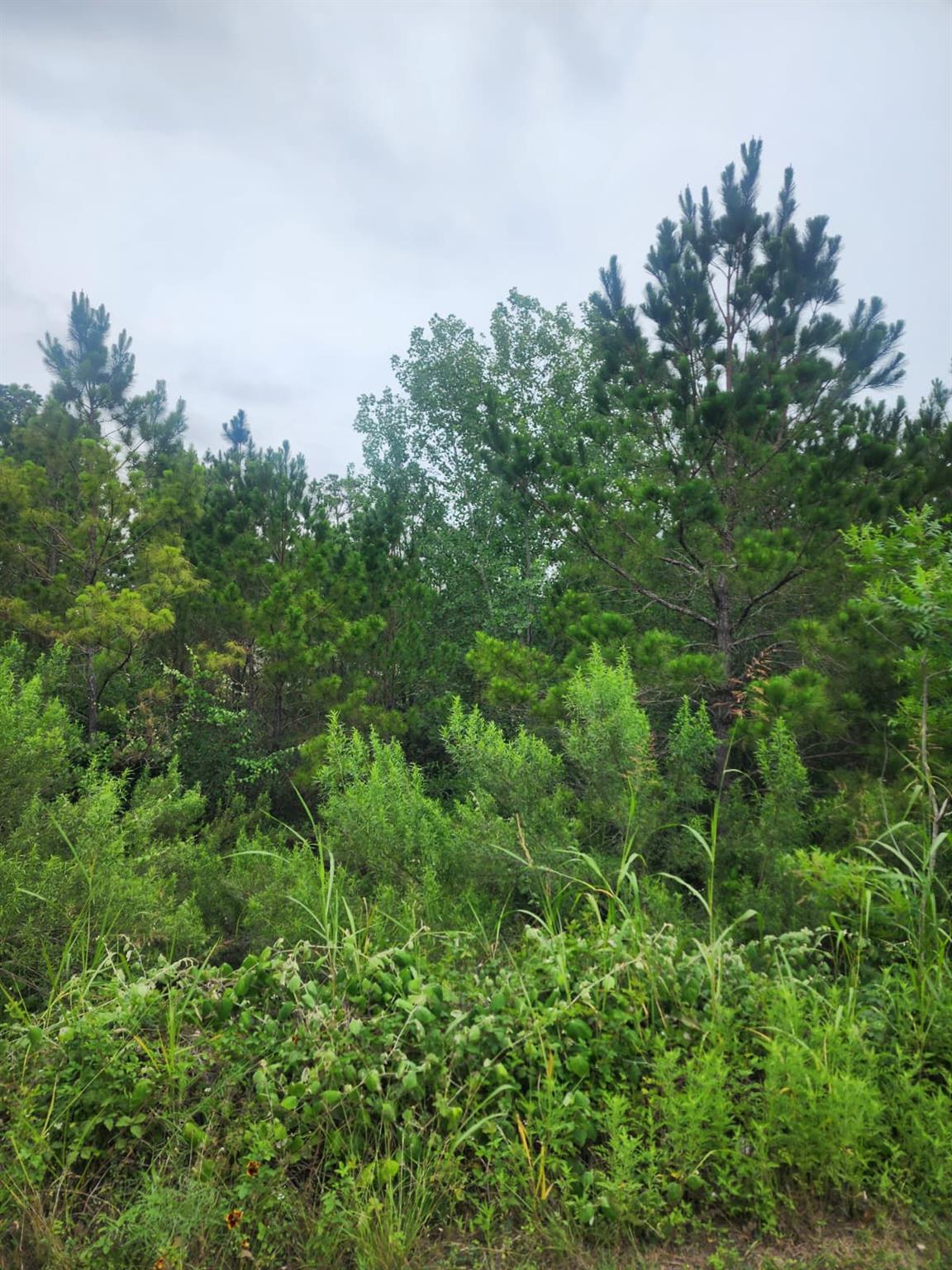 Lot 70 Lakeside Dr Property Photo 2