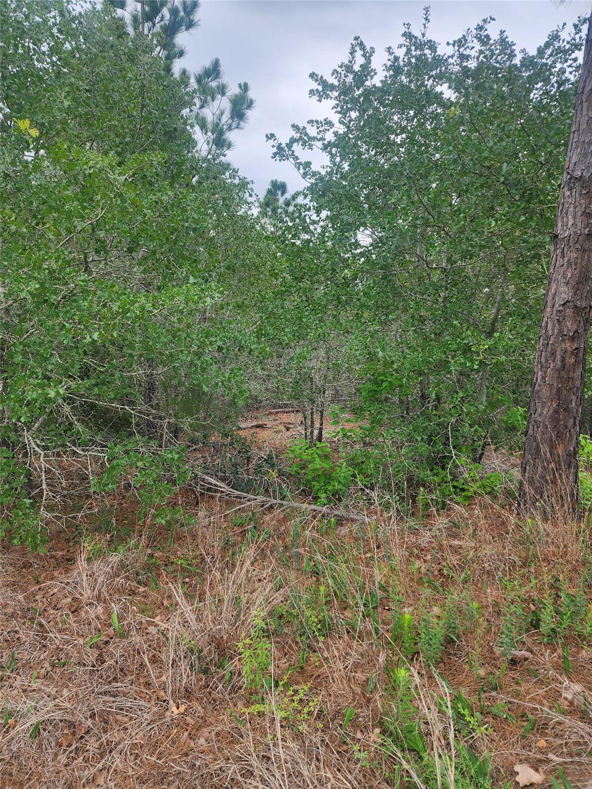 Lot 70 Lakeside Dr Property Photo 3
