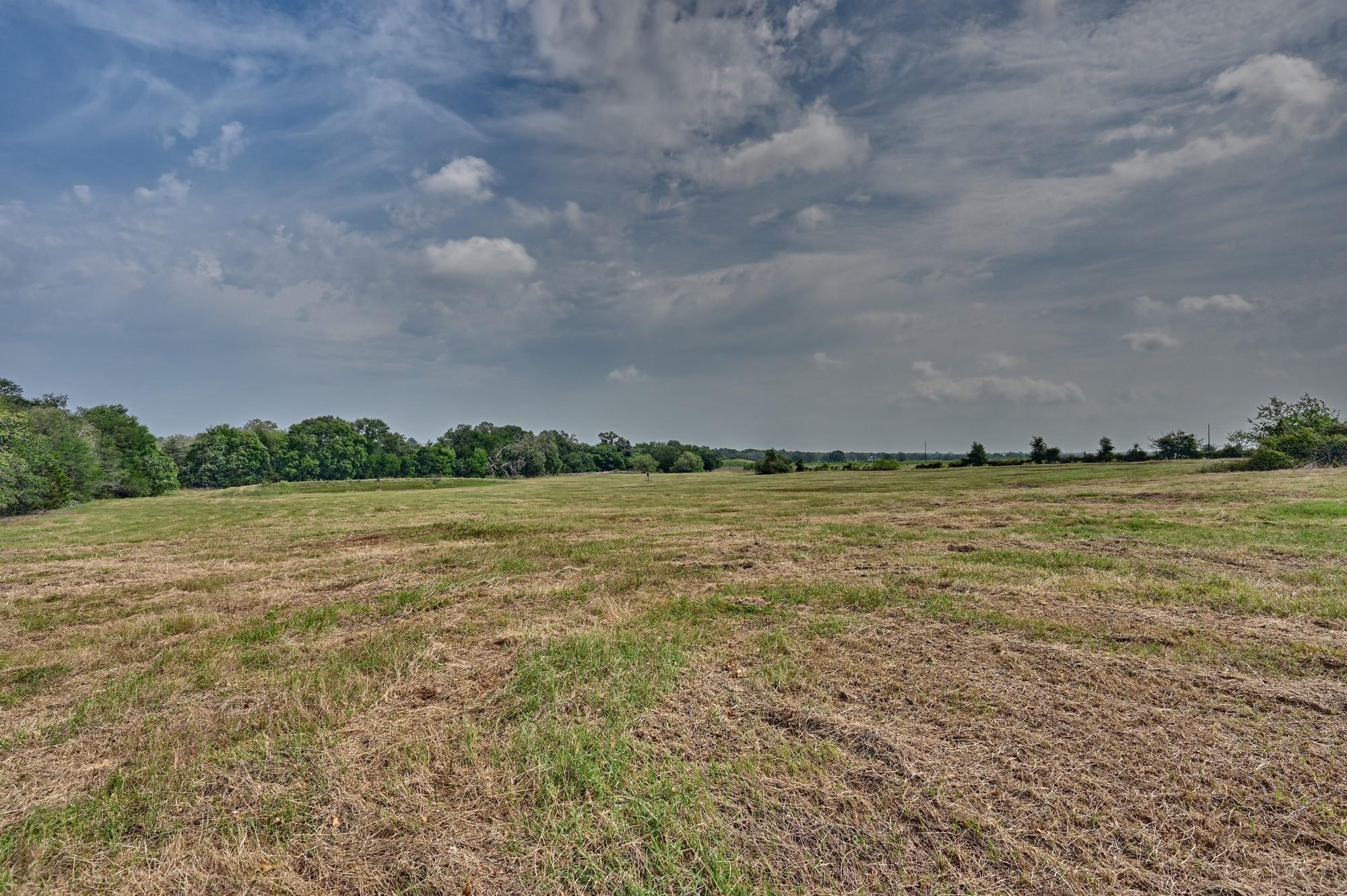 Tbd (6.44 Acres) Lee County Rd Property Photo 5