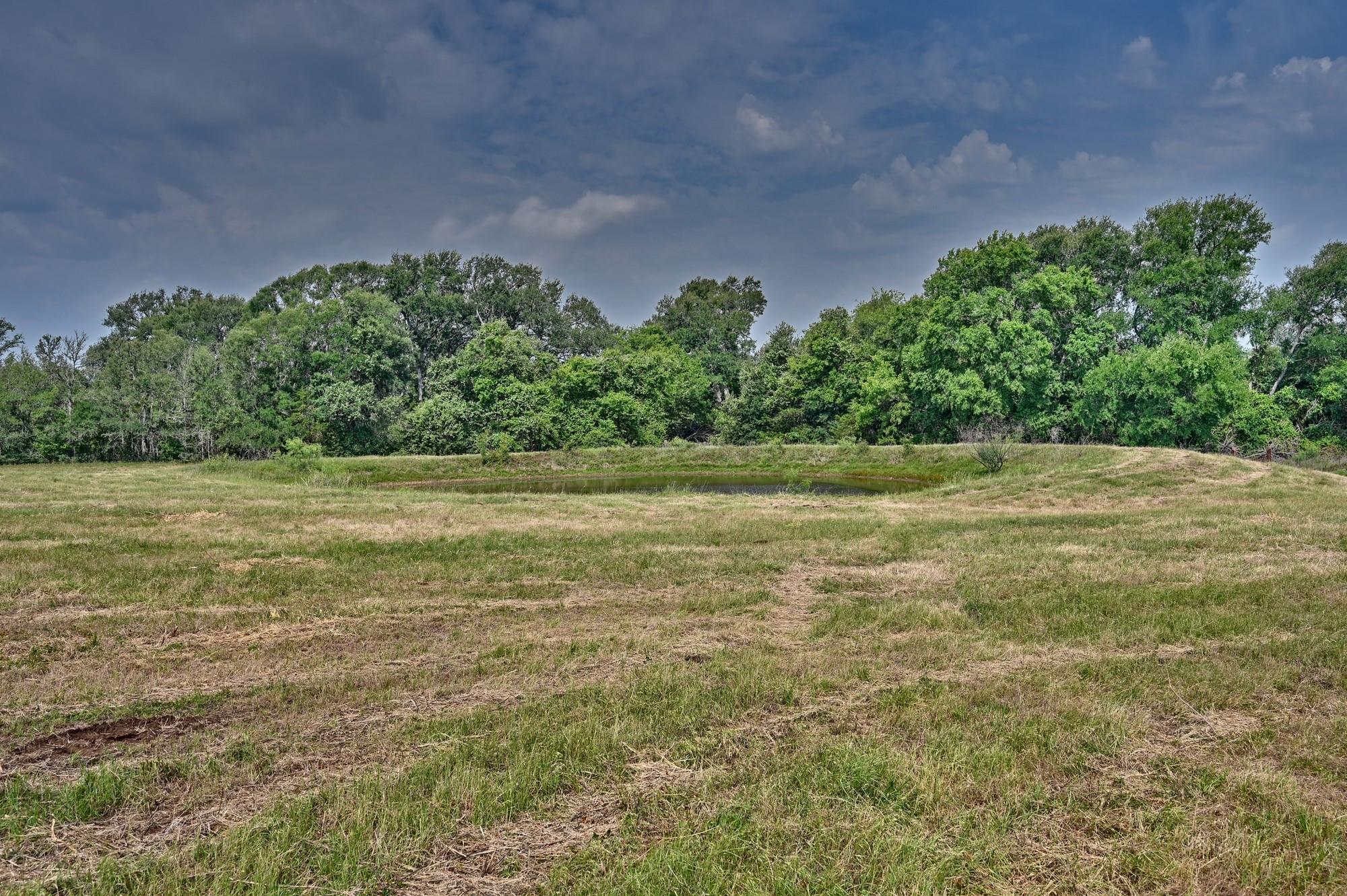 Tbd (6.44 Acres) Lee County Rd Property Photo 10