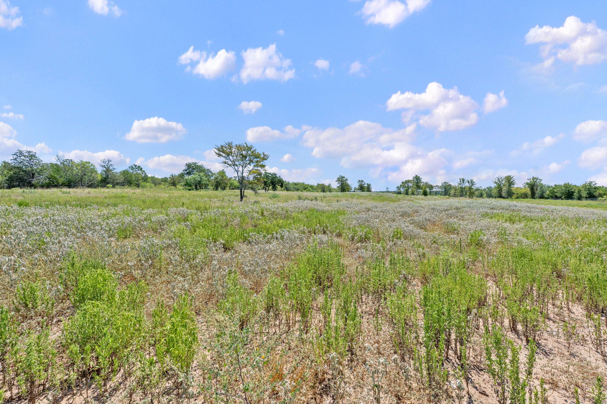 1385 Pettytown Rd Property Photo 12