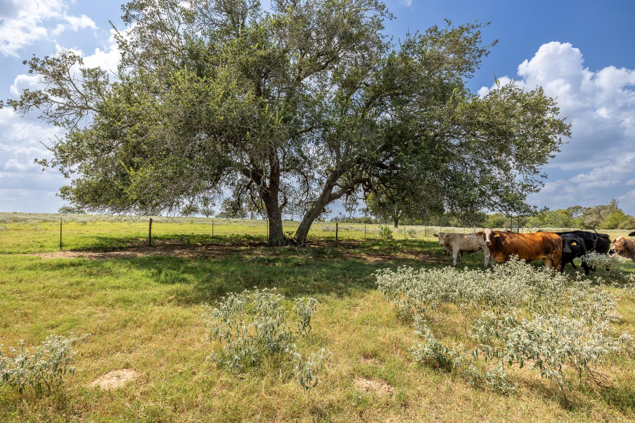 4725 Fm 532 Property Photo