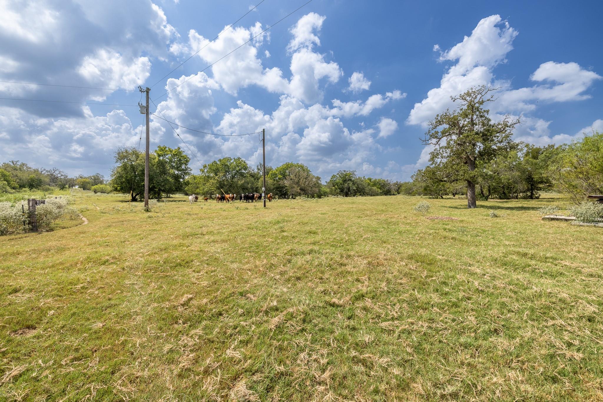 4725 Fm 532 Property Photo 5