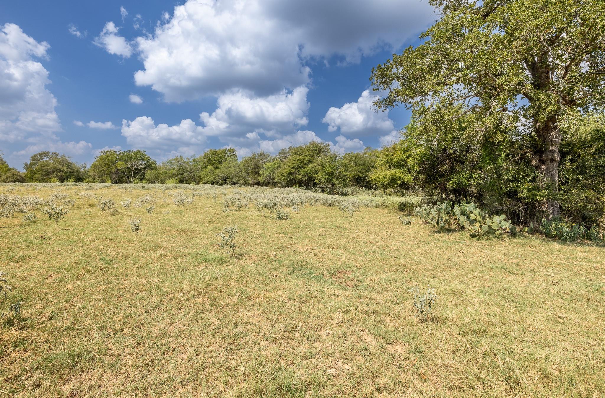 4725 Fm 532 Property Photo 8