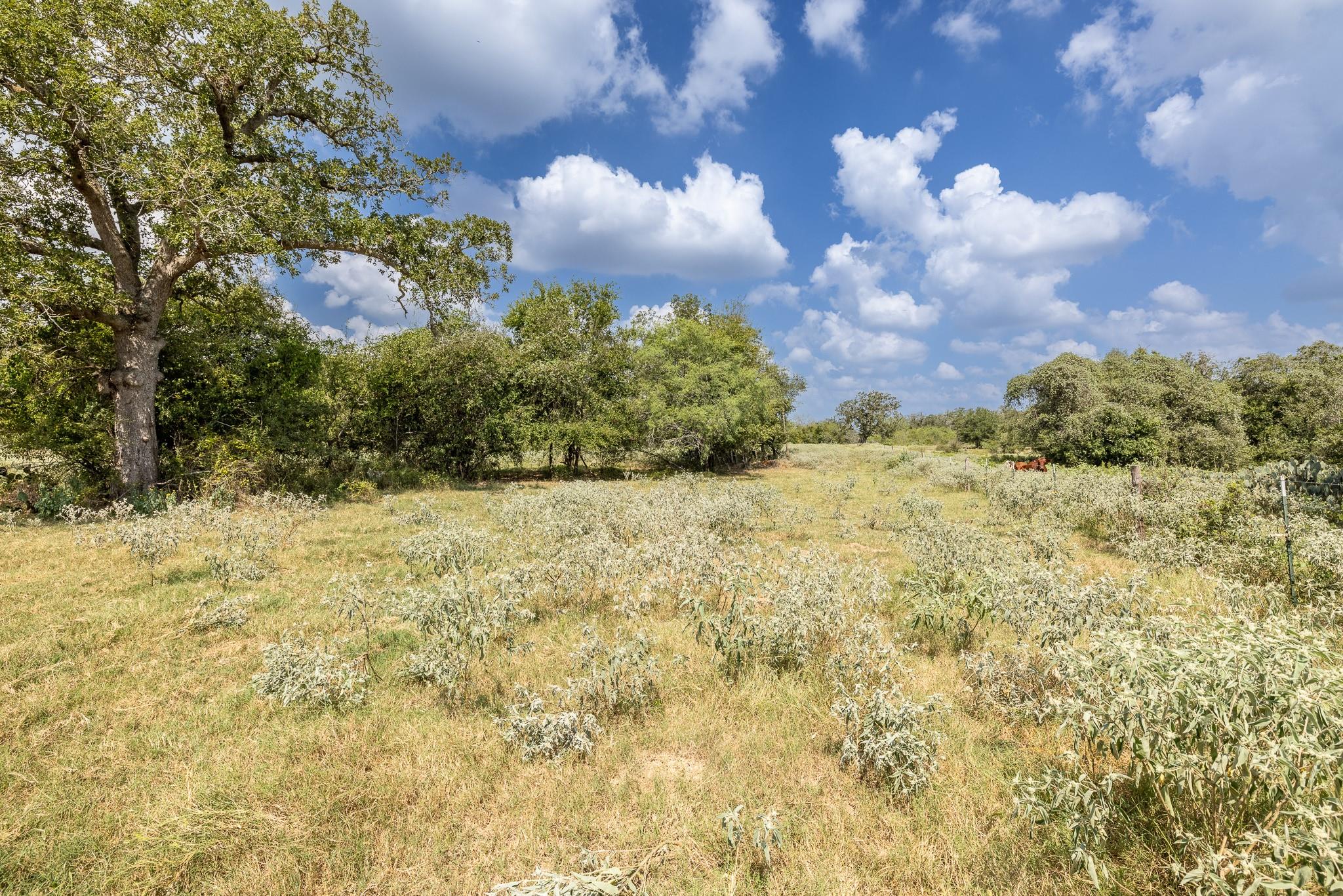 4725 Fm 532 Property Photo 9