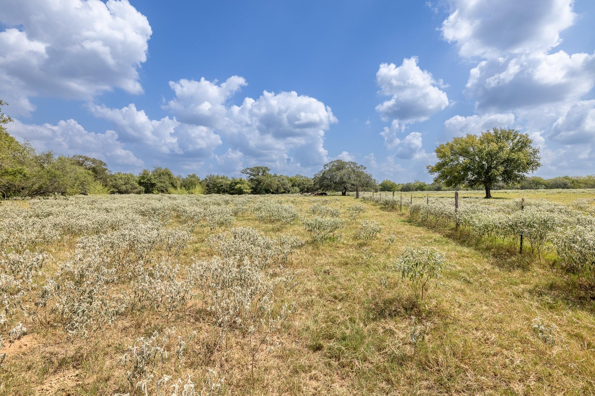 4725 Fm 532 Property Photo 11