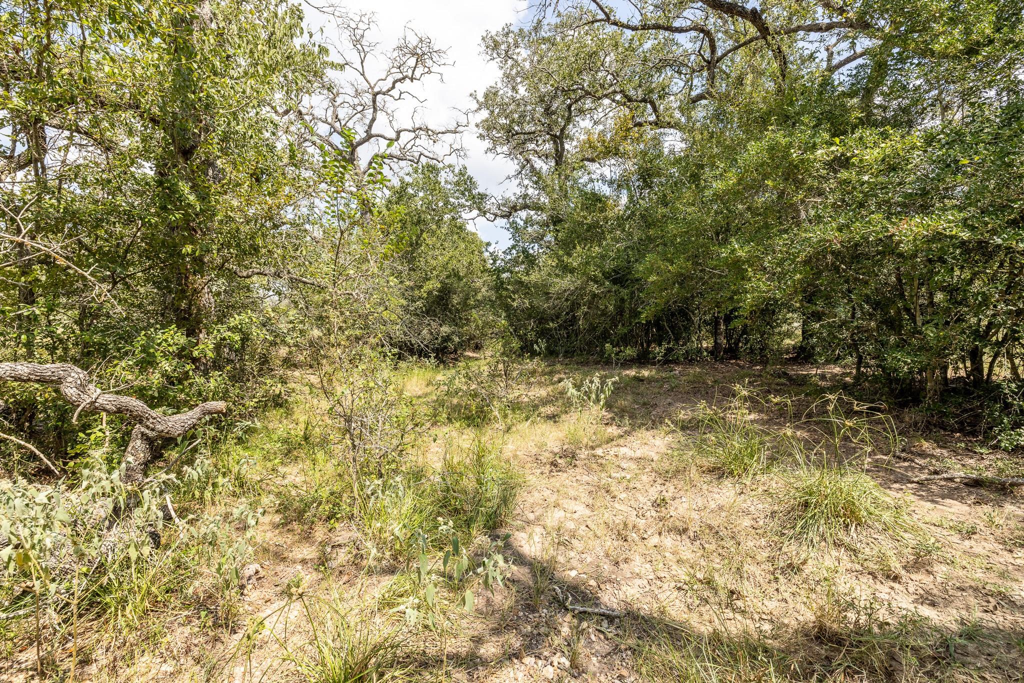 4725 Fm 532 Property Photo 15