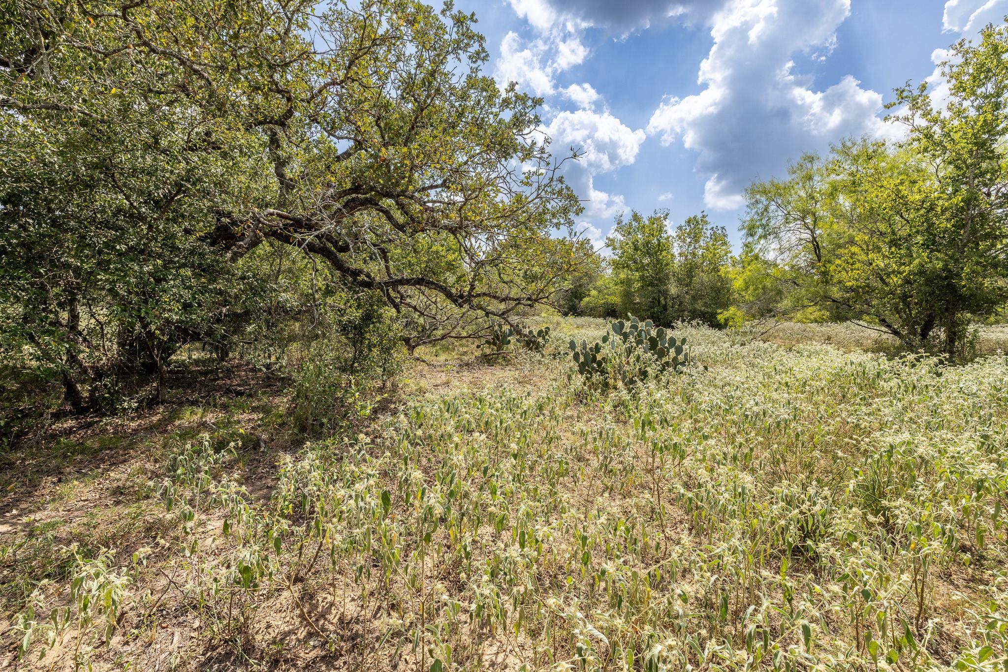 4725 Fm 532 Property Photo 16