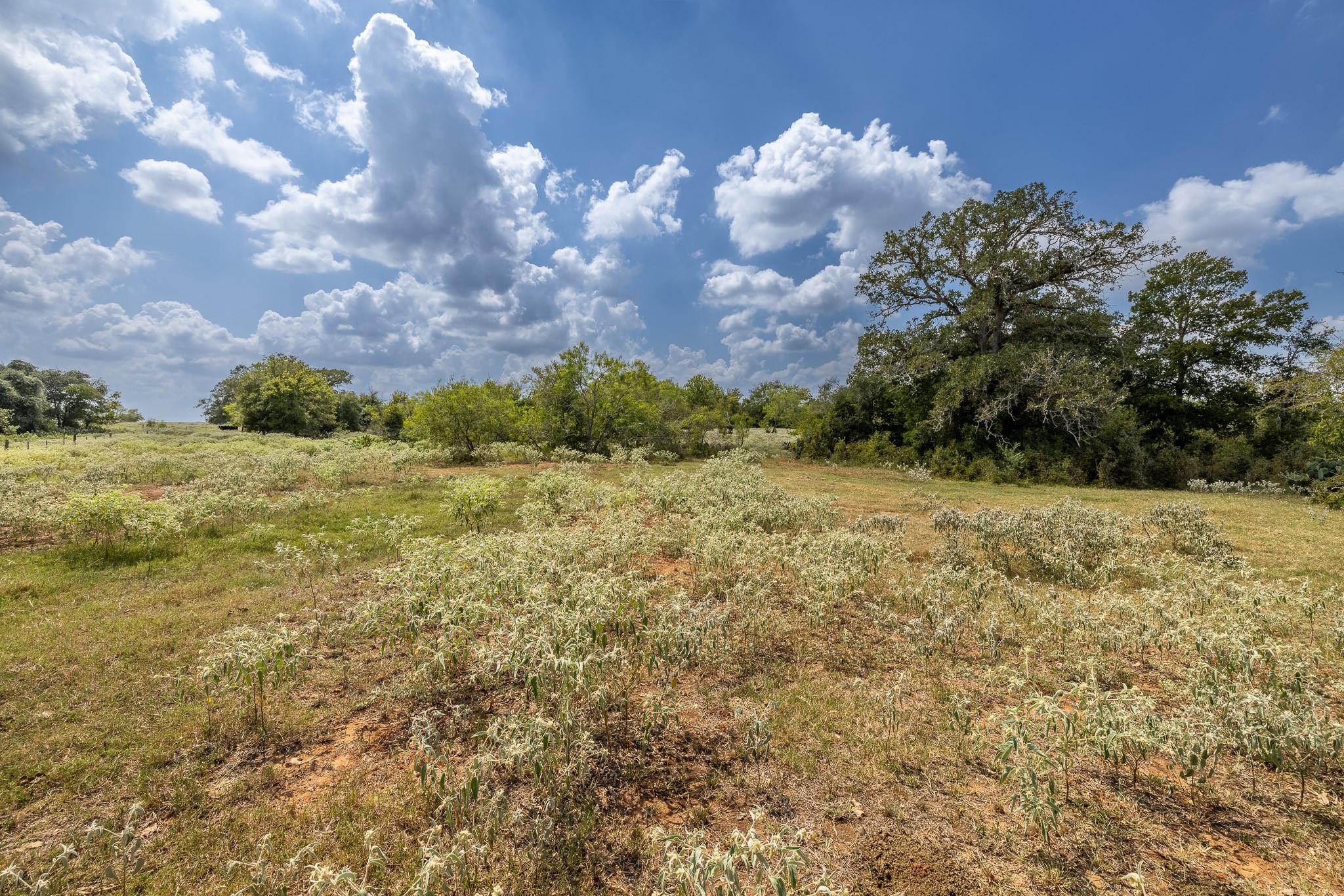 4725 Fm 532 Property Photo 20