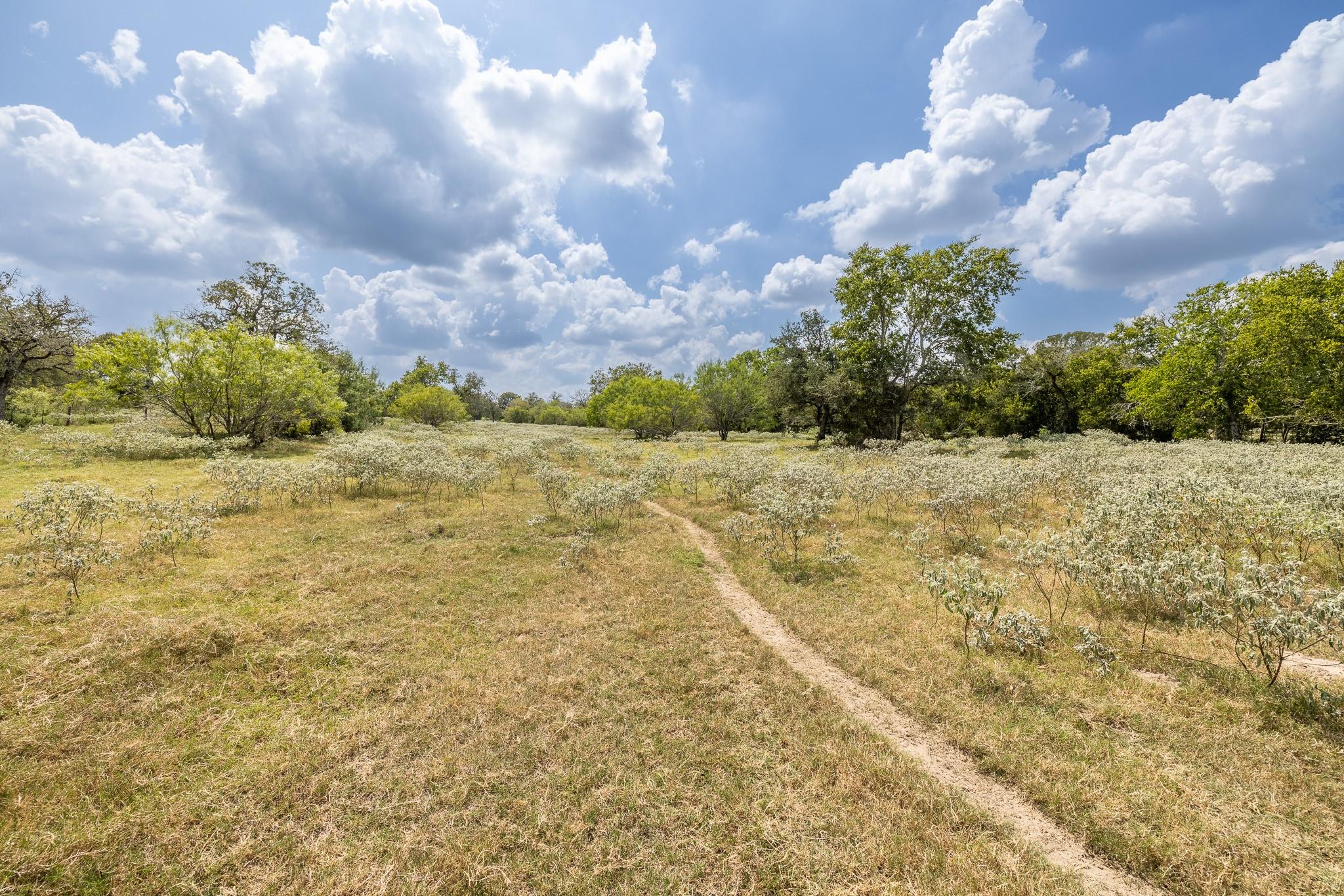 4725 Fm 532 Property Photo 24