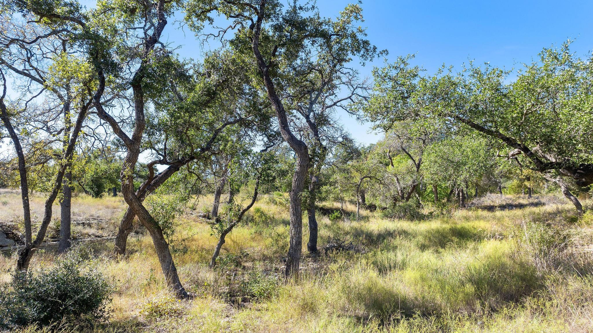 Lot 18 Mesa Ranch Rd Property Photo 1