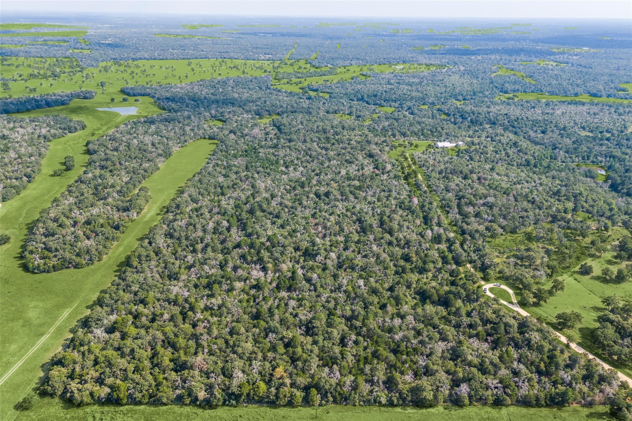 2199 Sandy Ranch Rd Property Photo