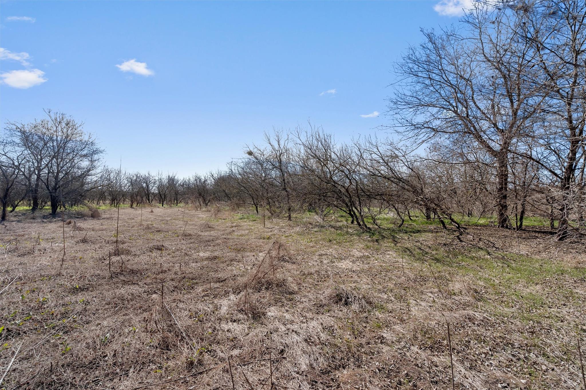 Tbd Tomahawk Trl Property Photo 3