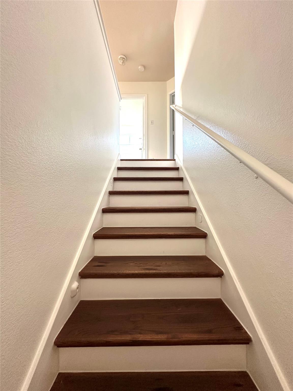 13412 Forest Sage St Property Photo 15