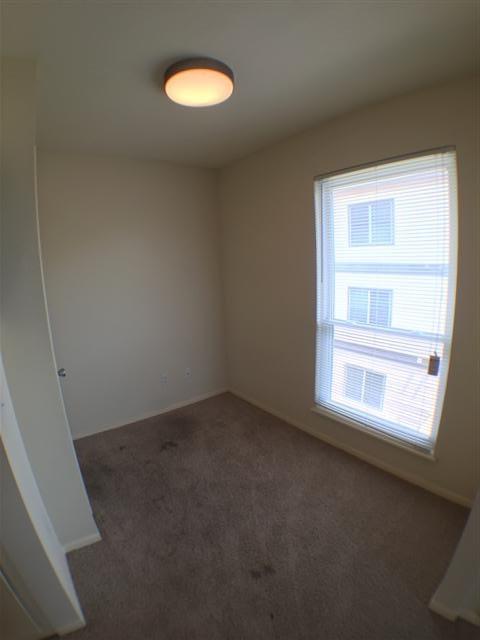 2703 Swisher St 306a Property Photo 13