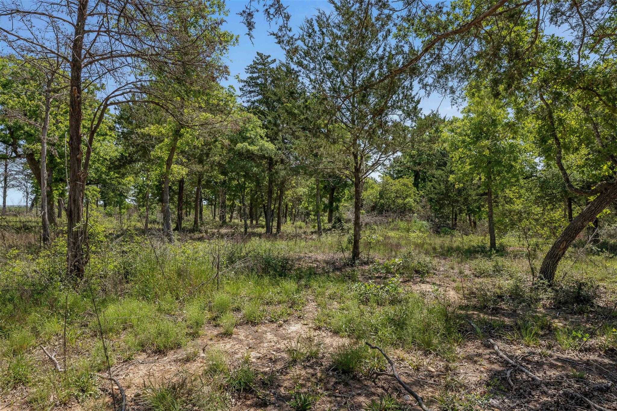 456 Lincoln Lake Rd A Property Photo 12