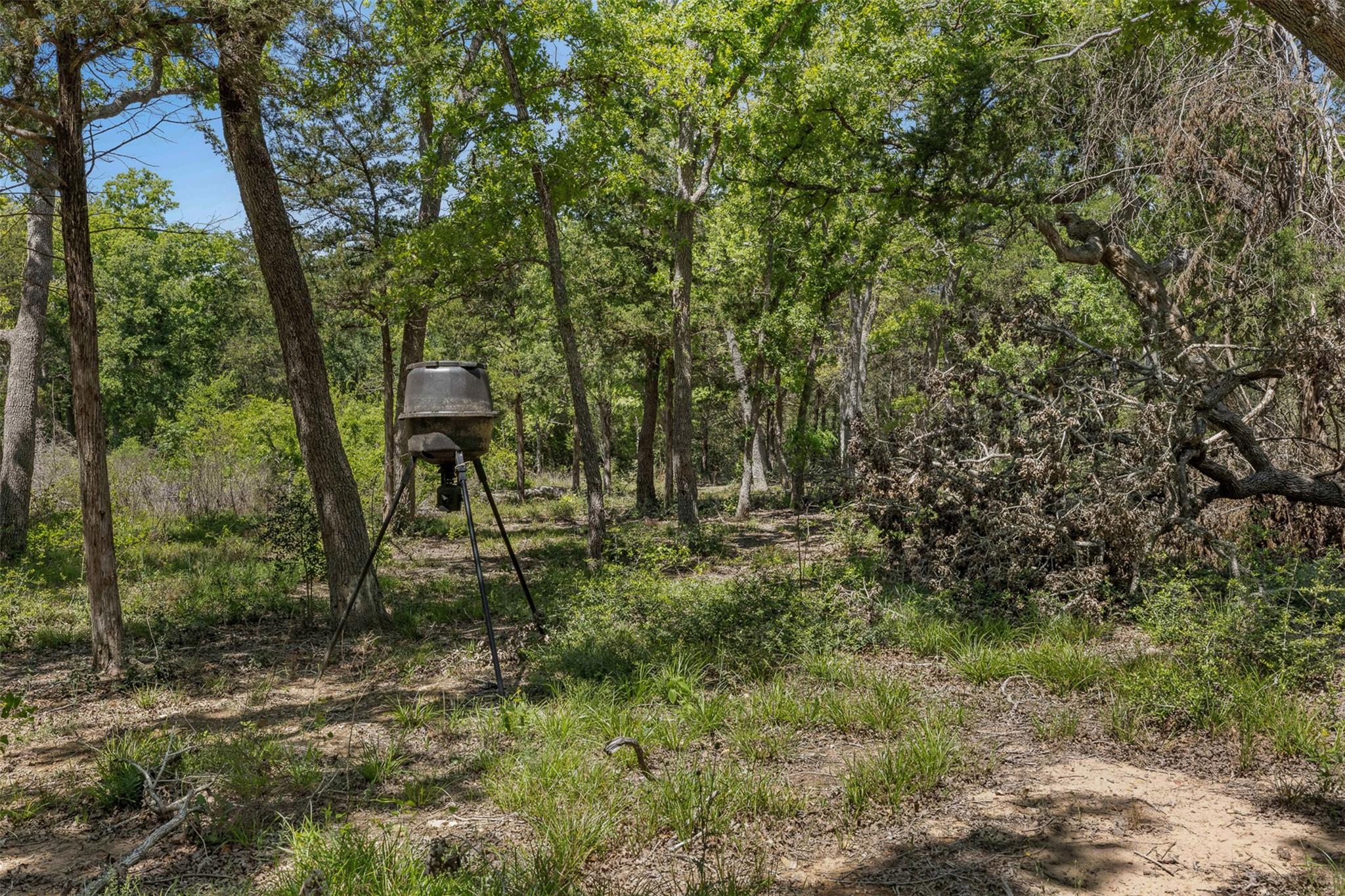 456 Lincoln Lake Rd A Property Photo 16