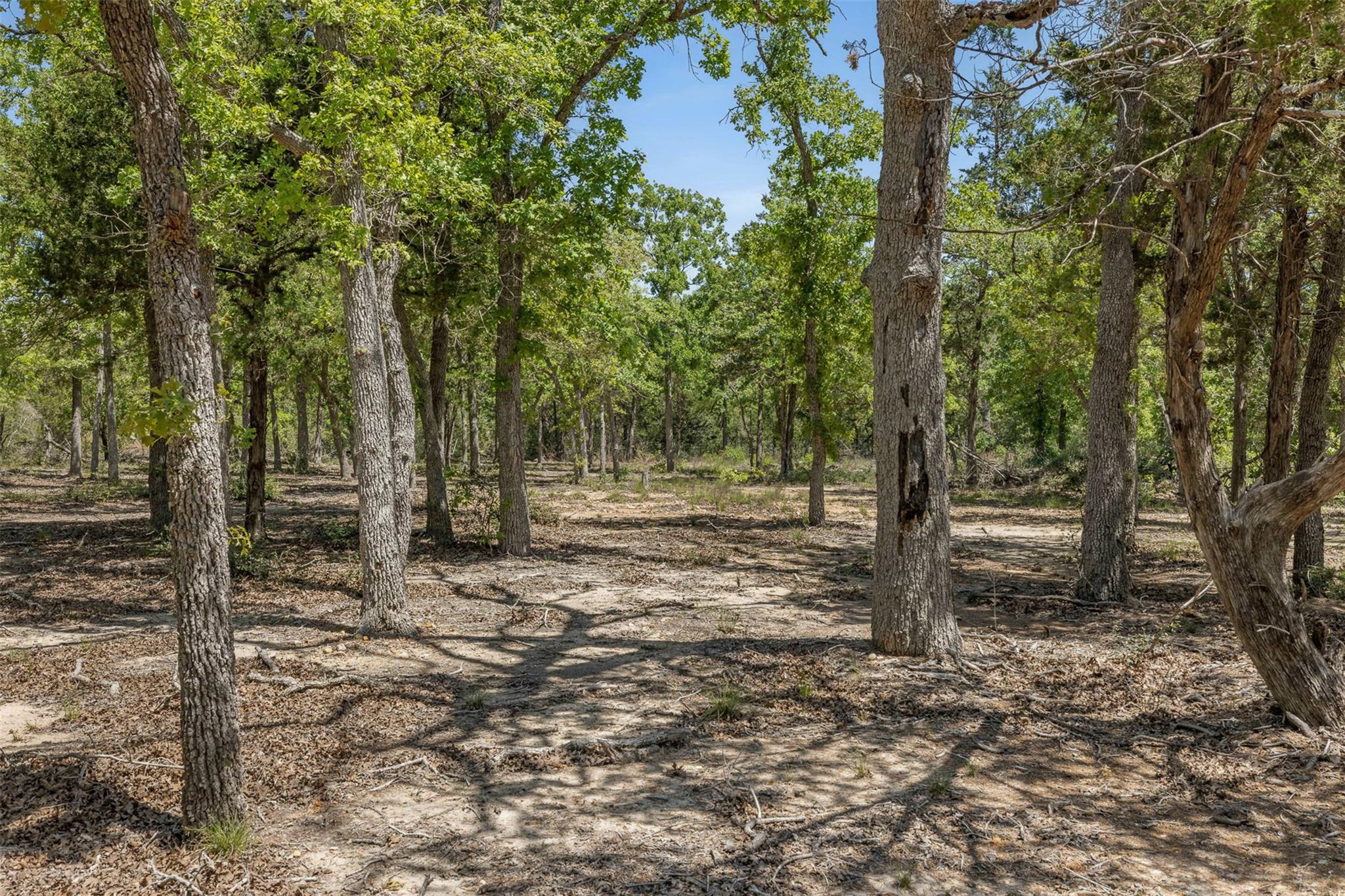 456 Lincoln Lake Rd A Property Photo 17