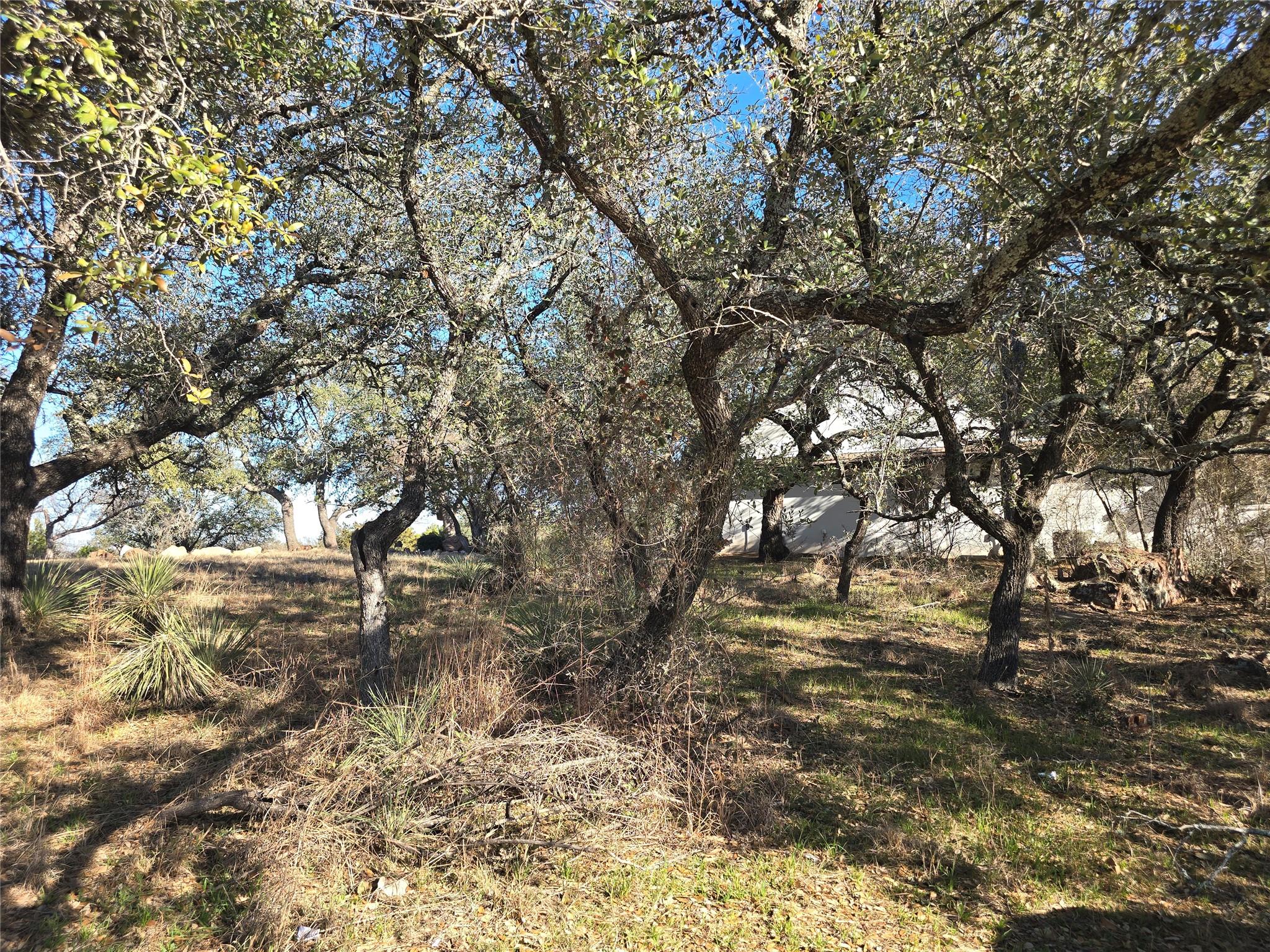 101 Bottoms Up Cv Property Photo 13