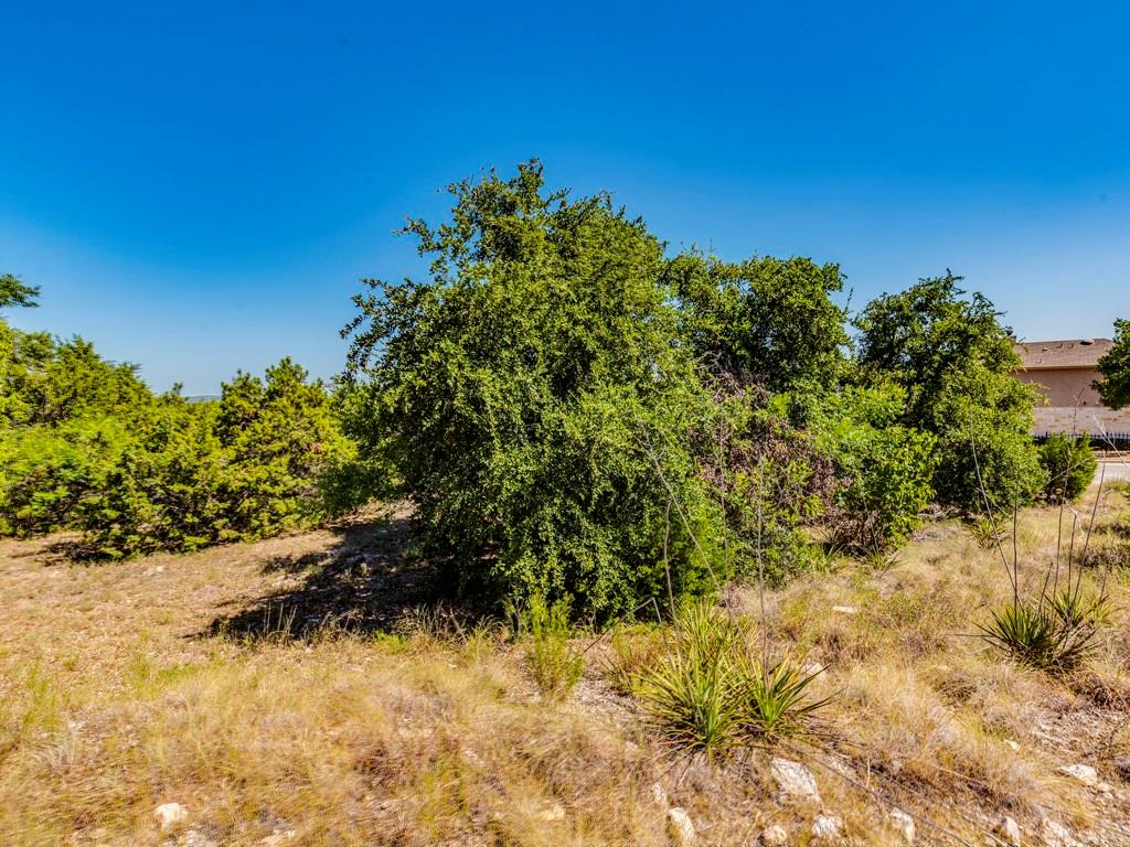 15225 Dave Dr Property Photo 10