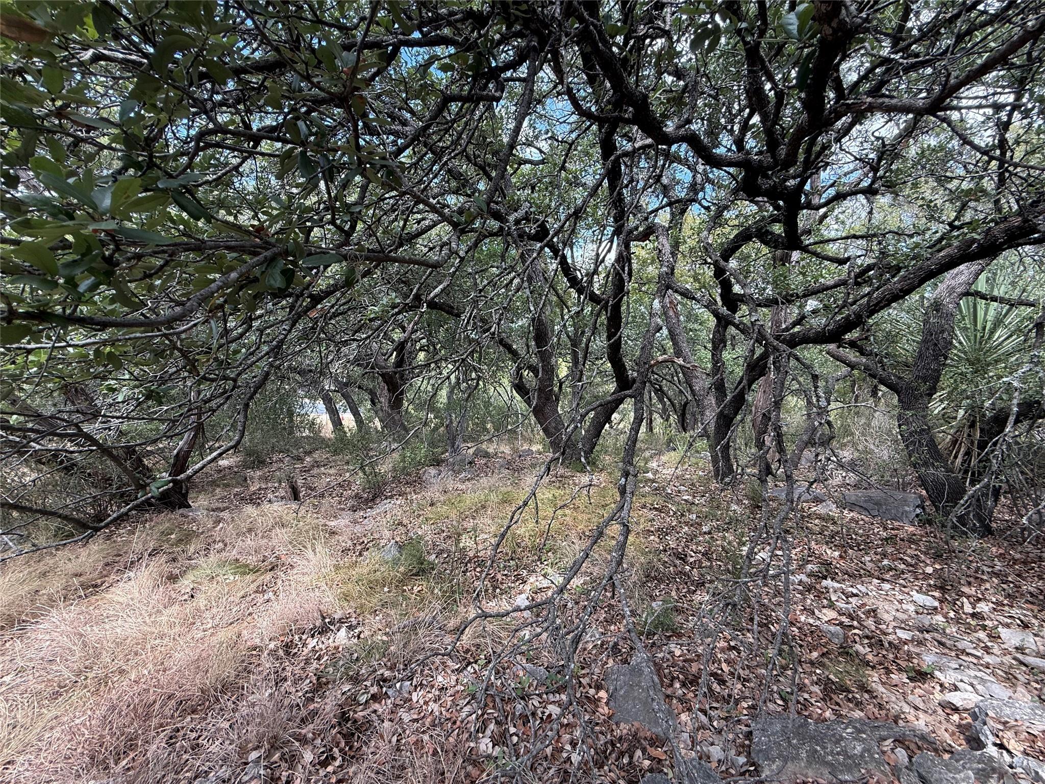 512 Hi Stirrup None Property Photo 8