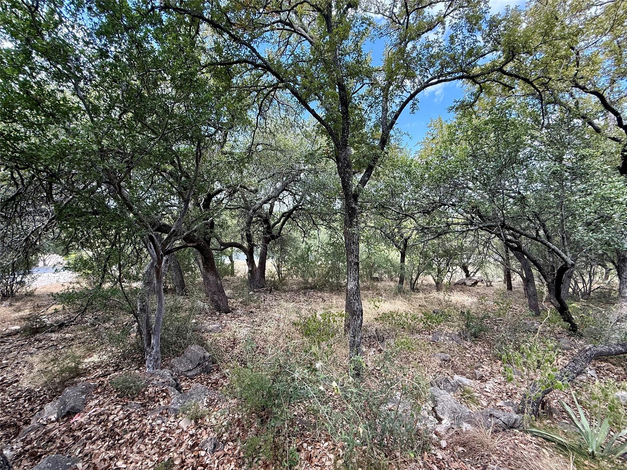 512 Hi Stirrup None Property Photo 10
