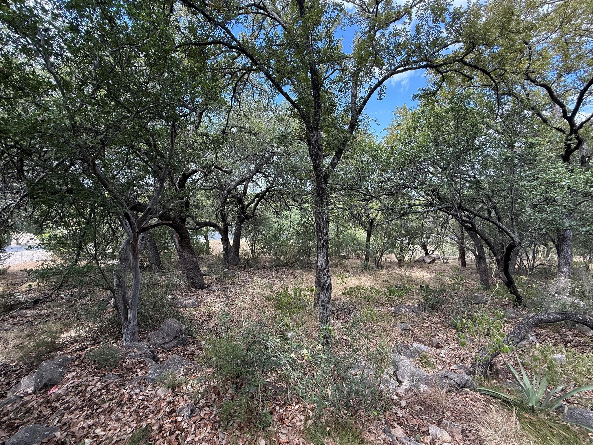 512 Hi Stirrup None Property Photo 11