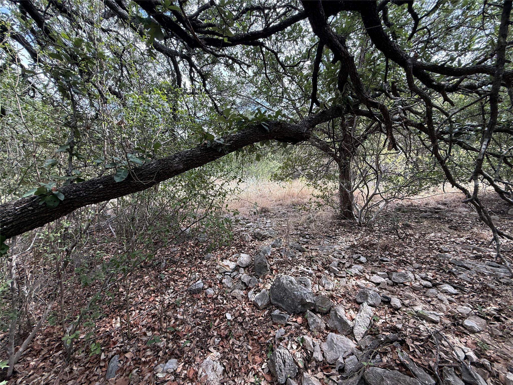 512 Hi Stirrup None Property Photo 12