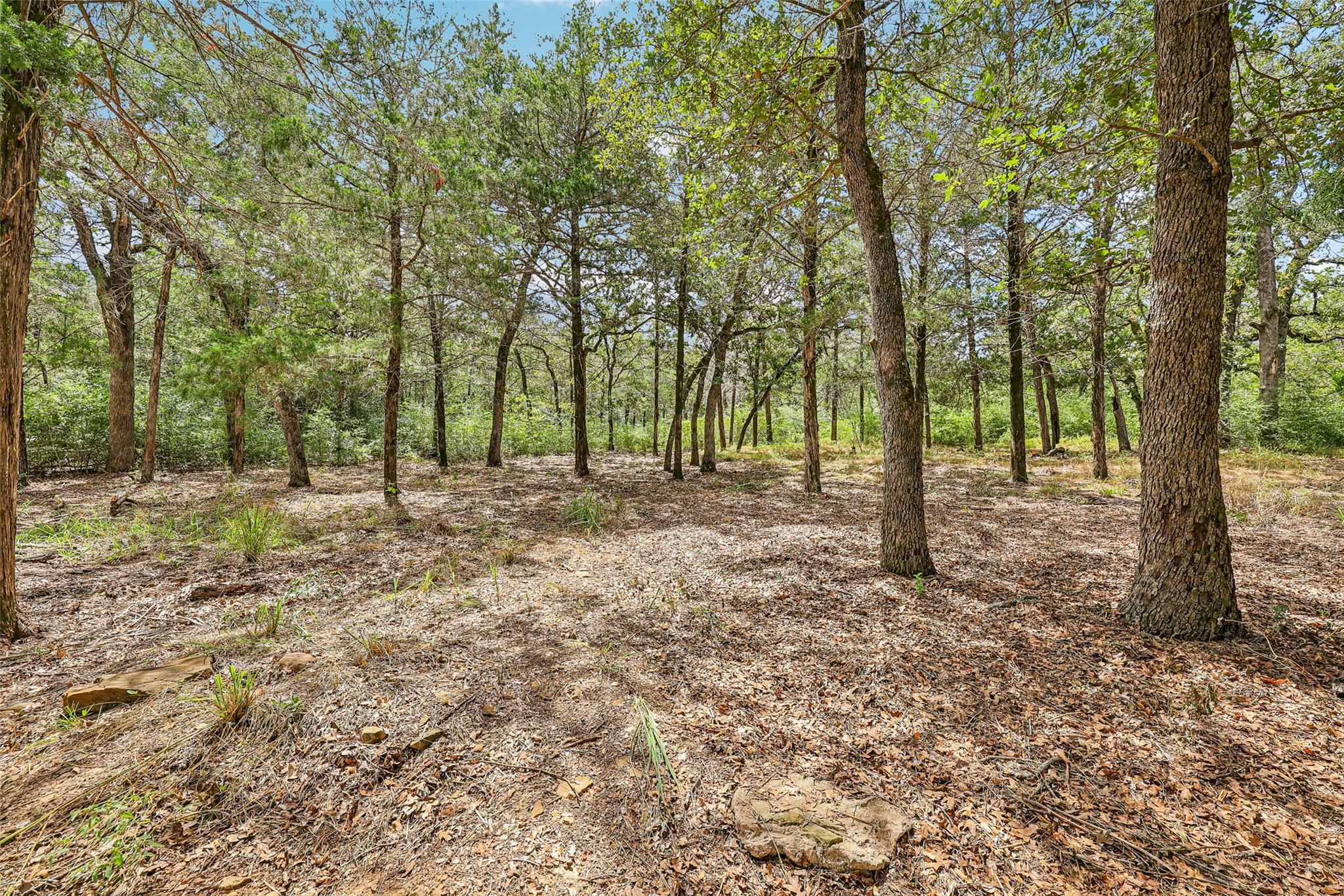 267 Corral Rd Property Photo 3