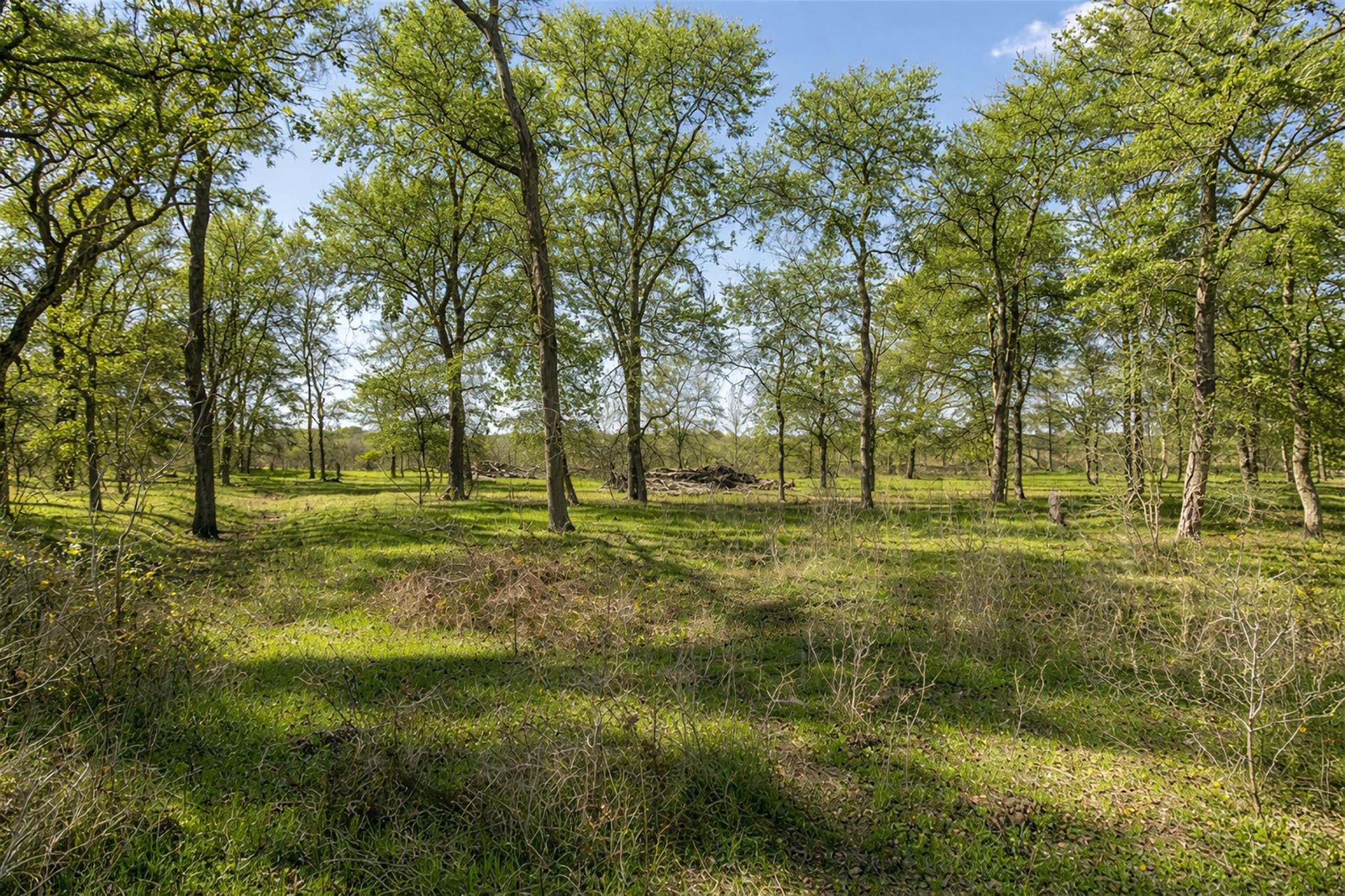 14985 Fm 86 None Property Photo 33